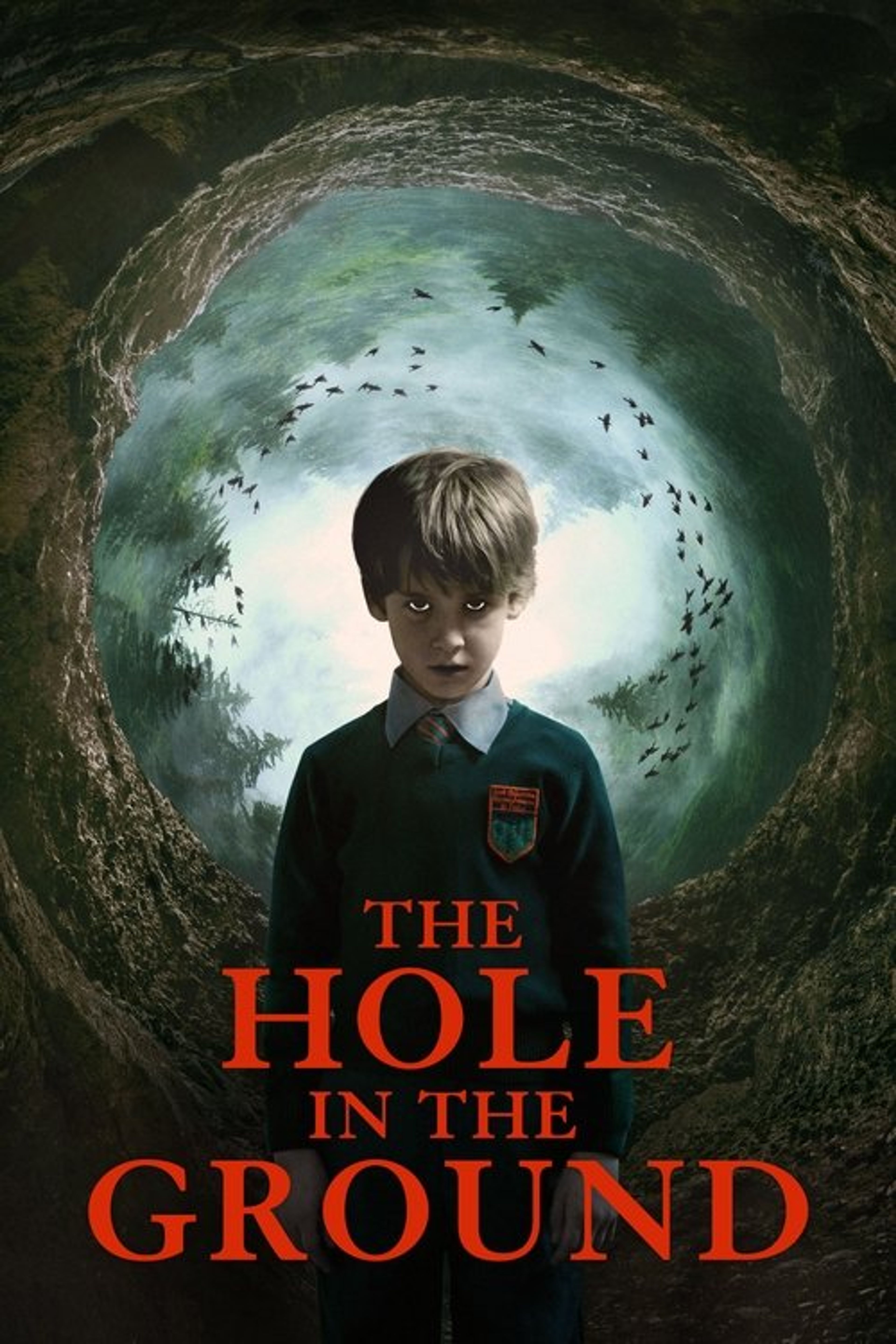 Poster image of The Hole in the Ground