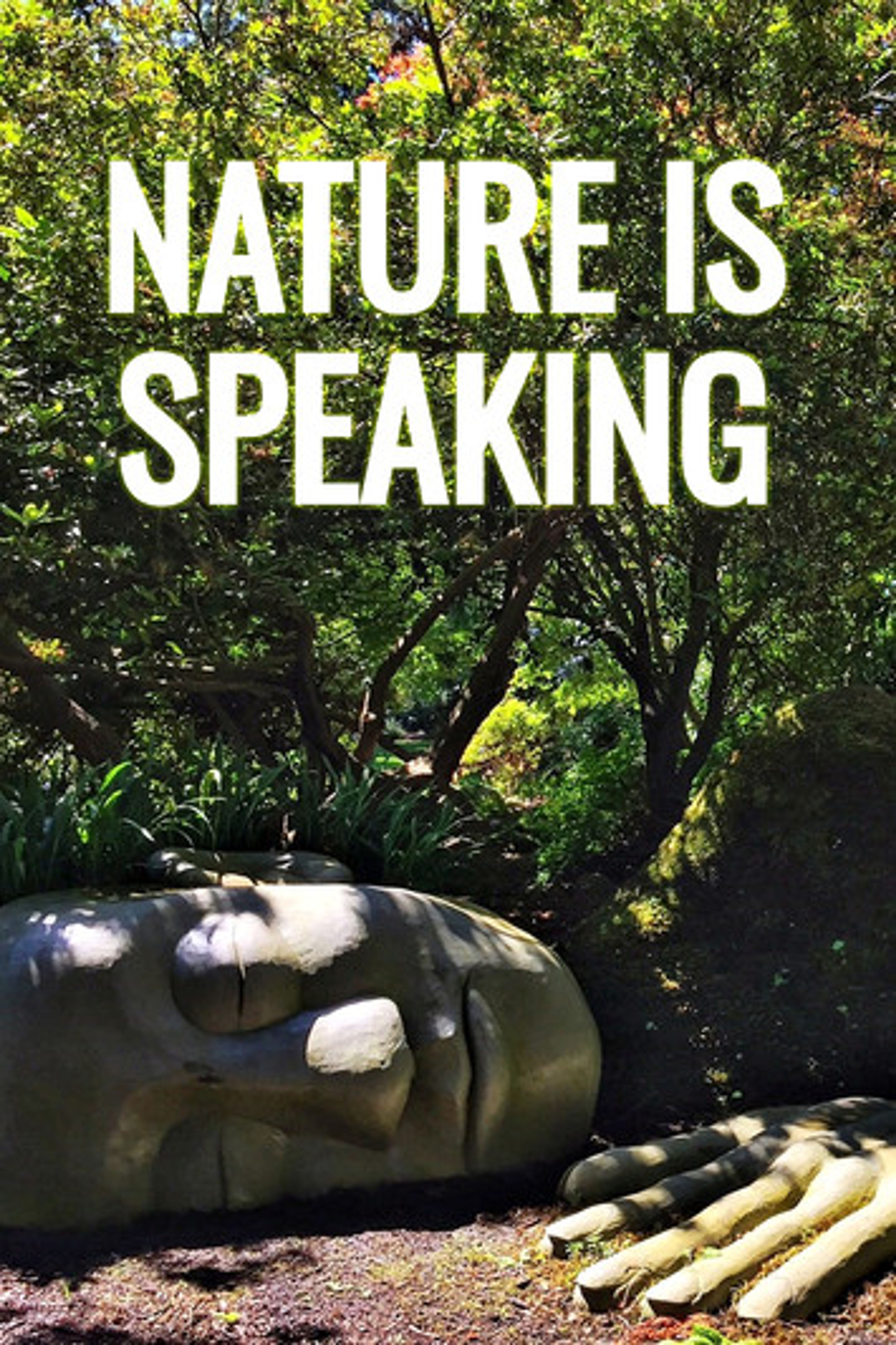 Poster image of Nature Is Speaking
