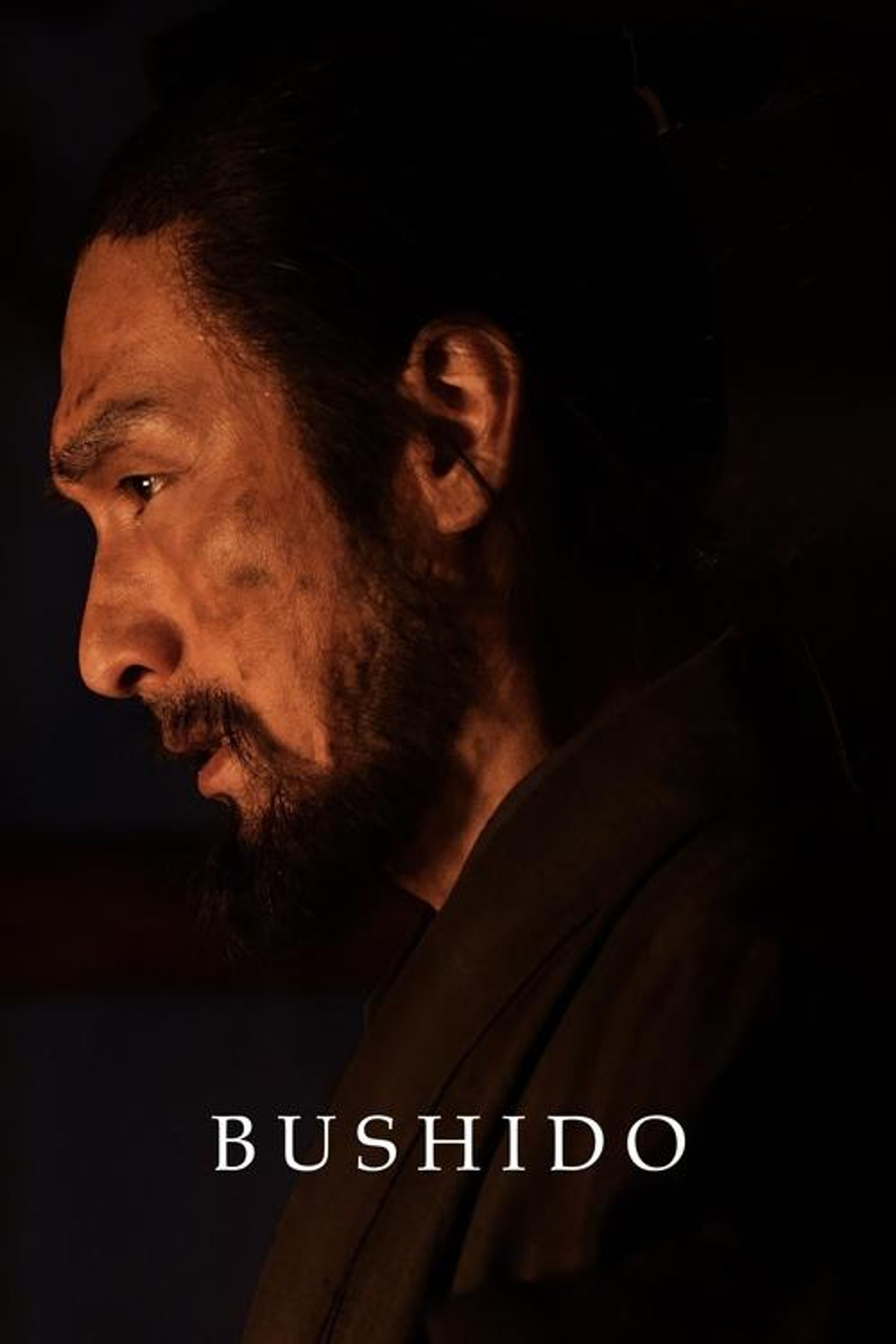 Poster image of Bushido