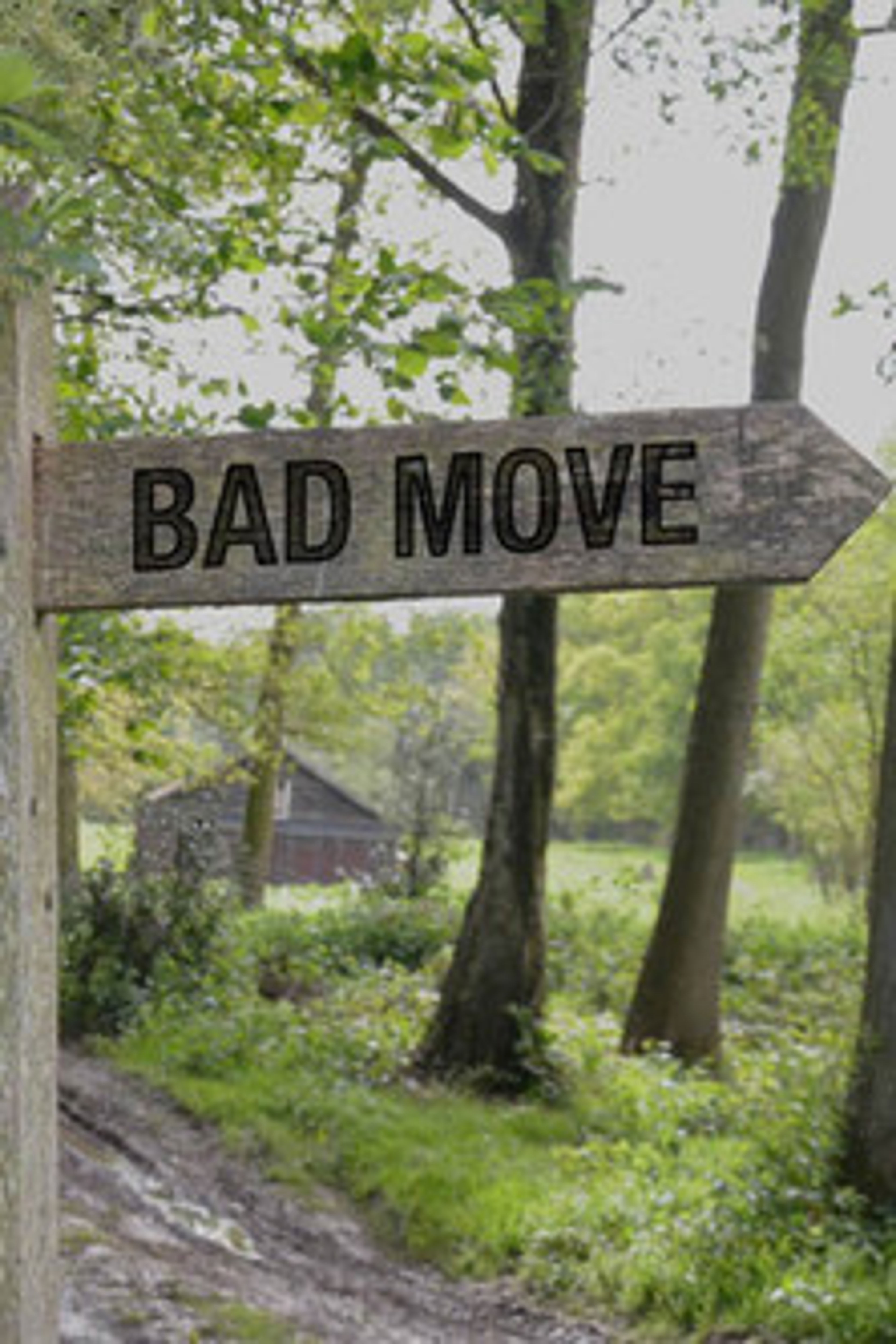Poster image of Bad Move