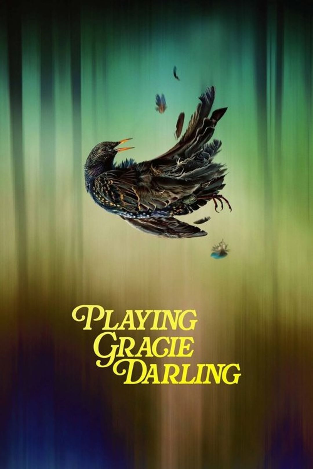 Poster image of Playing Gracie Darling