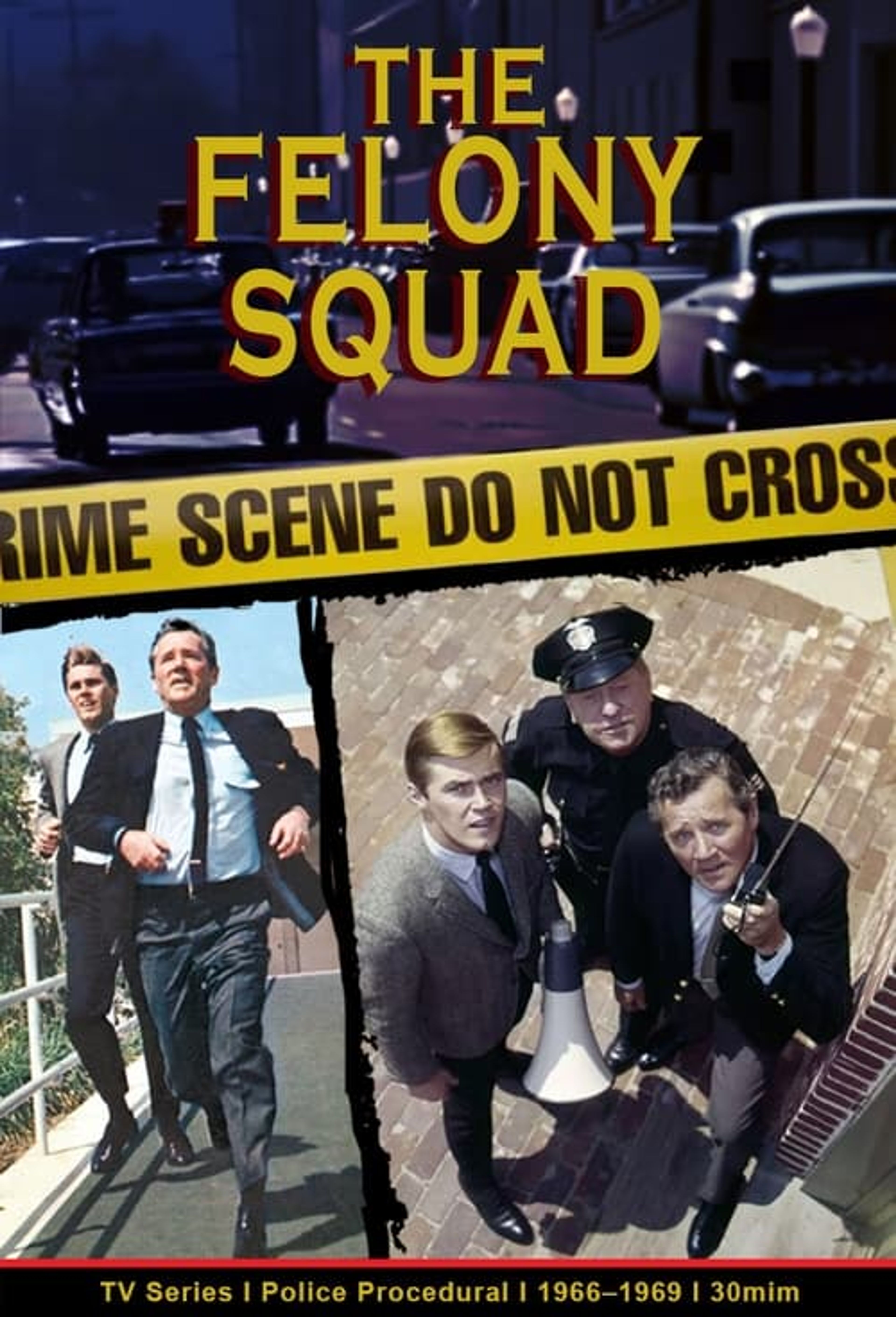 Poster image of Felony Squad