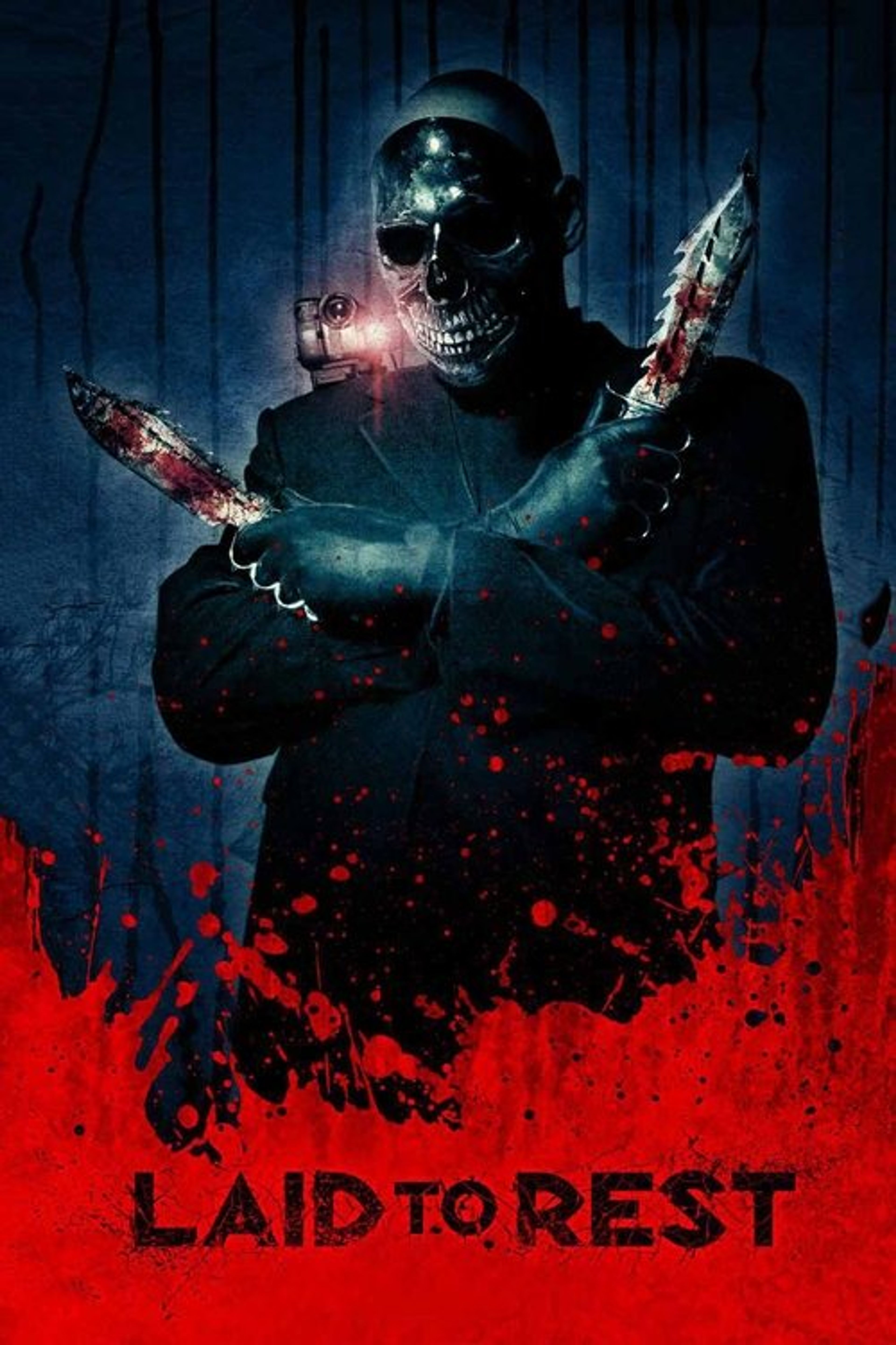 Poster image of Laid to Rest