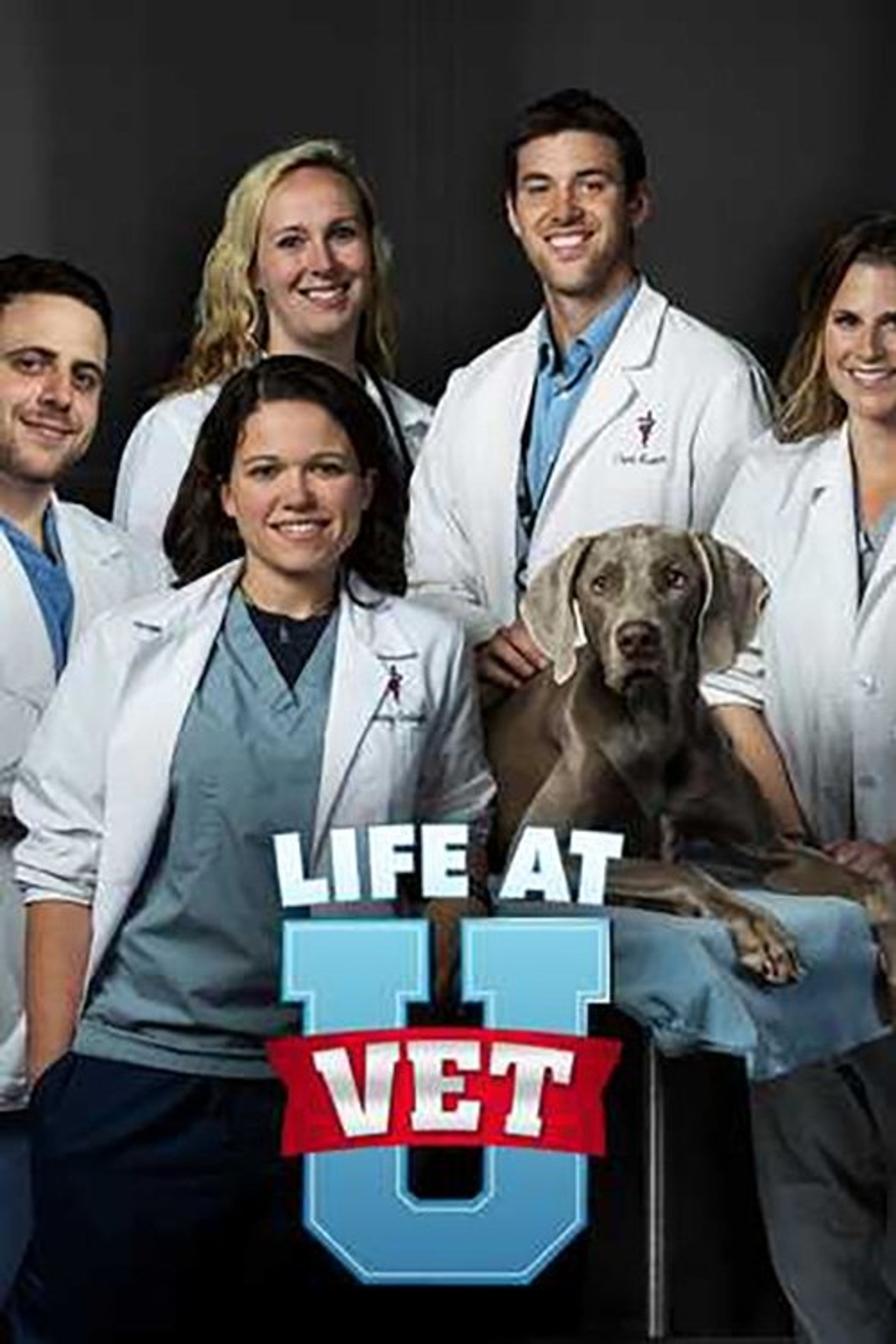 Poster image of Life at Vet U