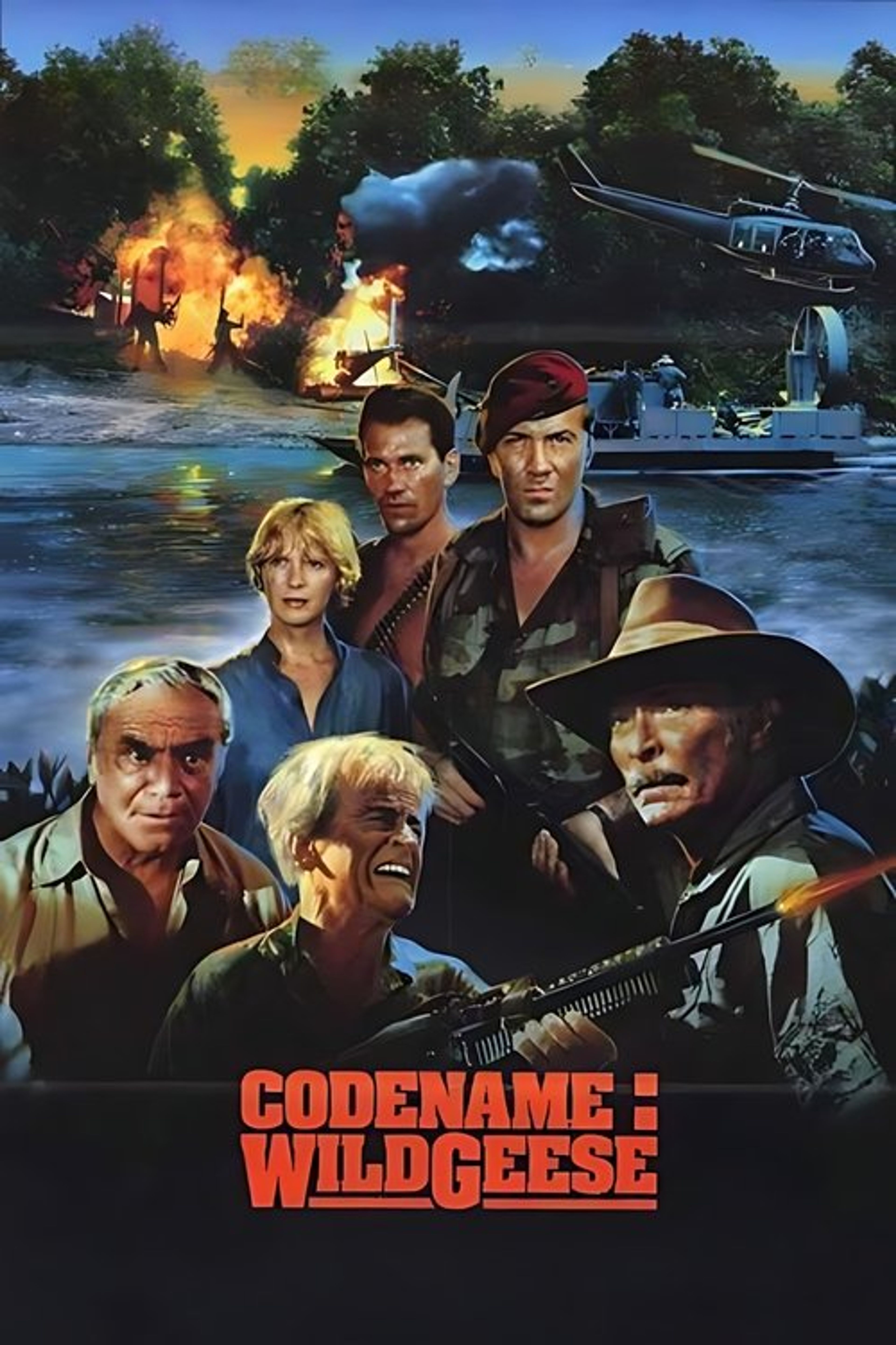 Poster image of Code Name: Wild Geese