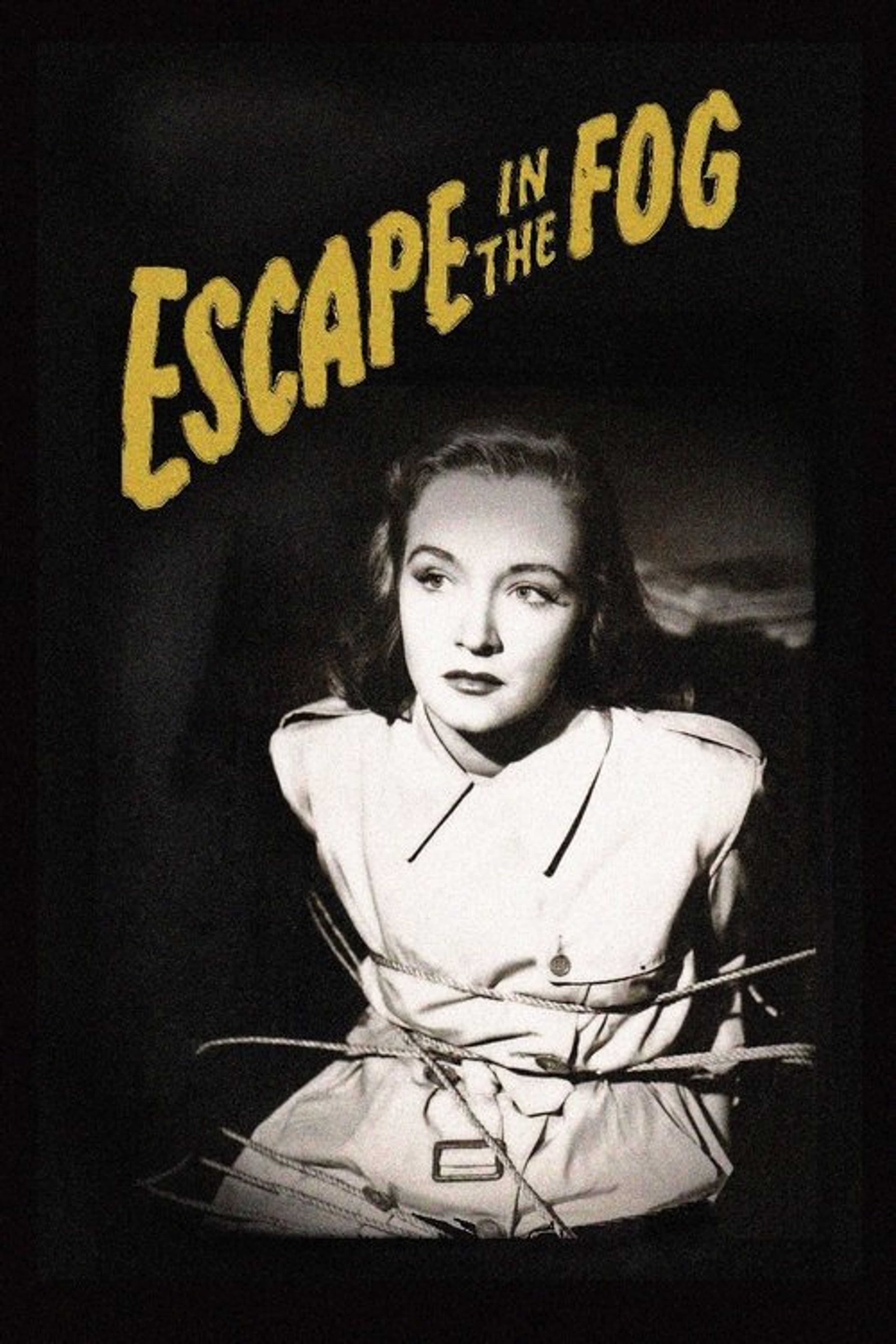 Poster image of Escape in the Fog