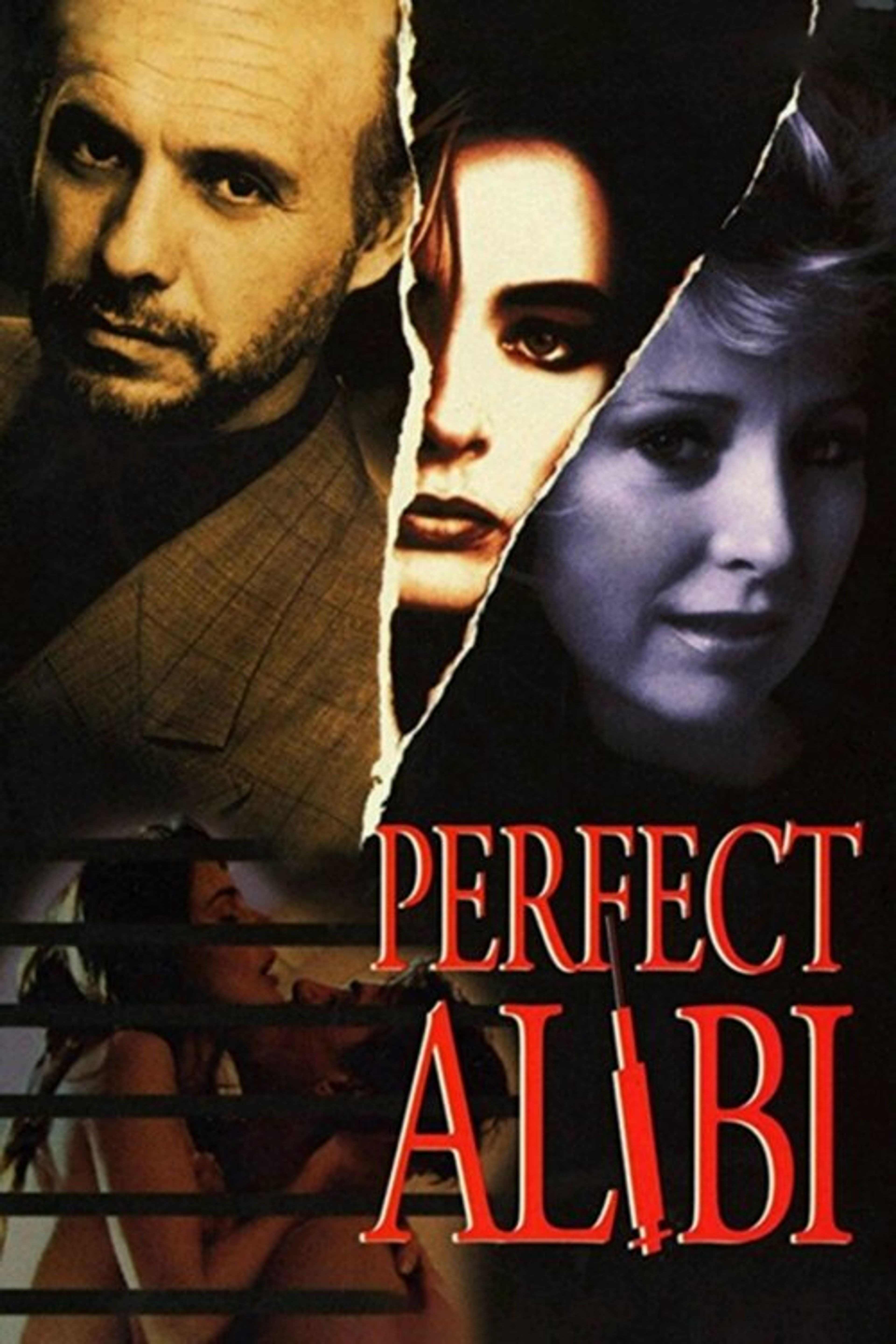 Poster image of Perfect Alibi