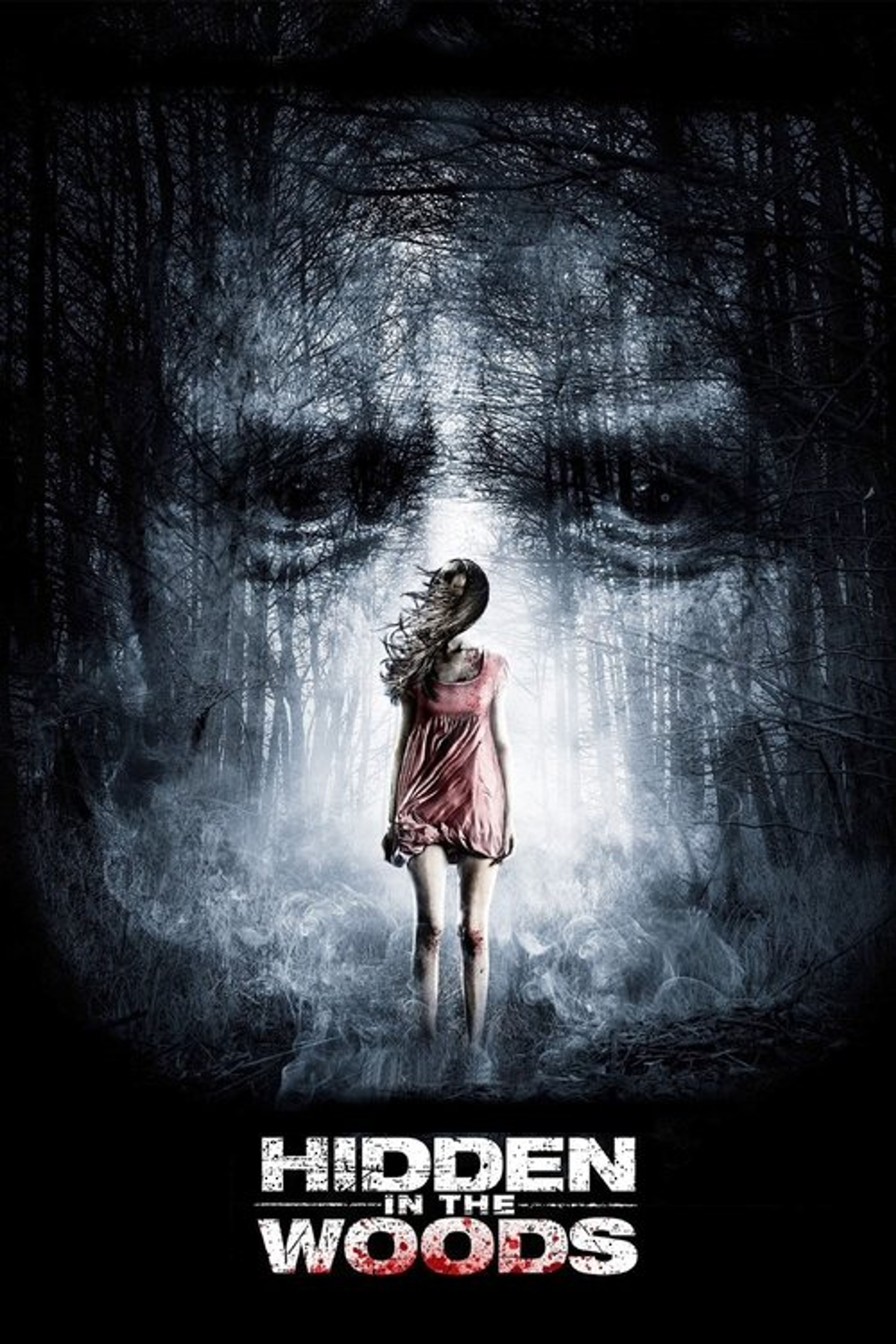 Poster image of Hidden in the Woods