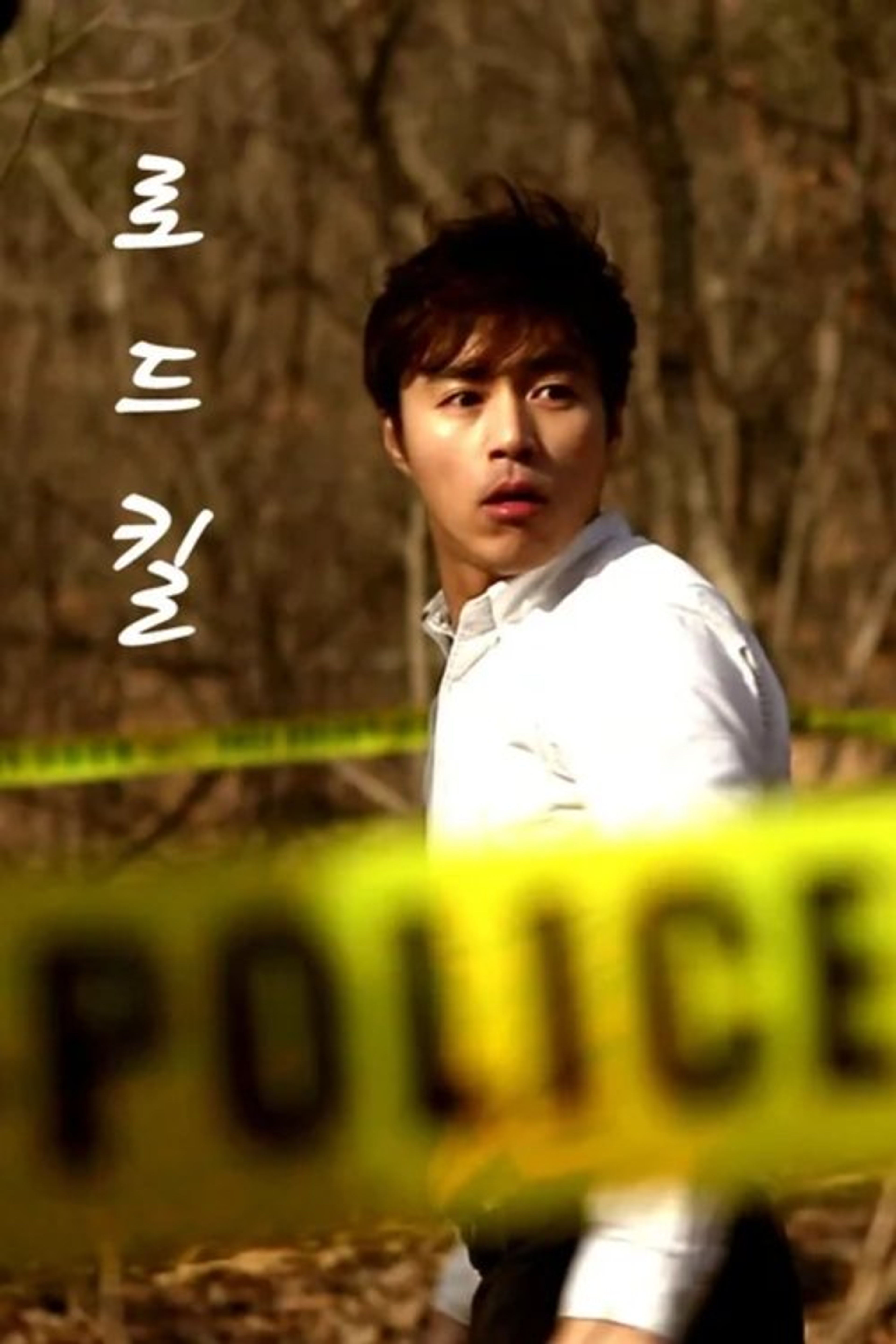 Poster image of Roadkill