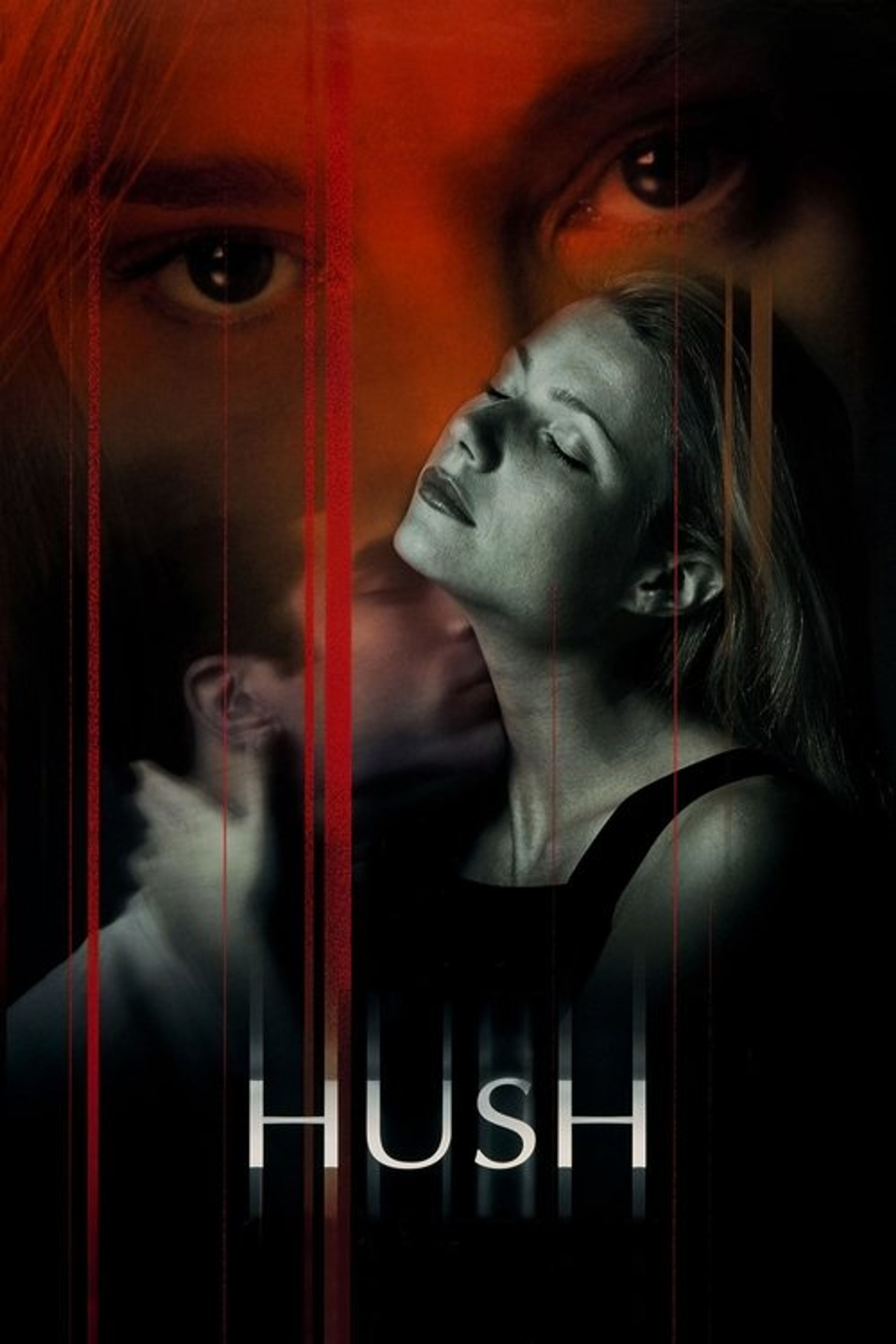 Poster image of Hush