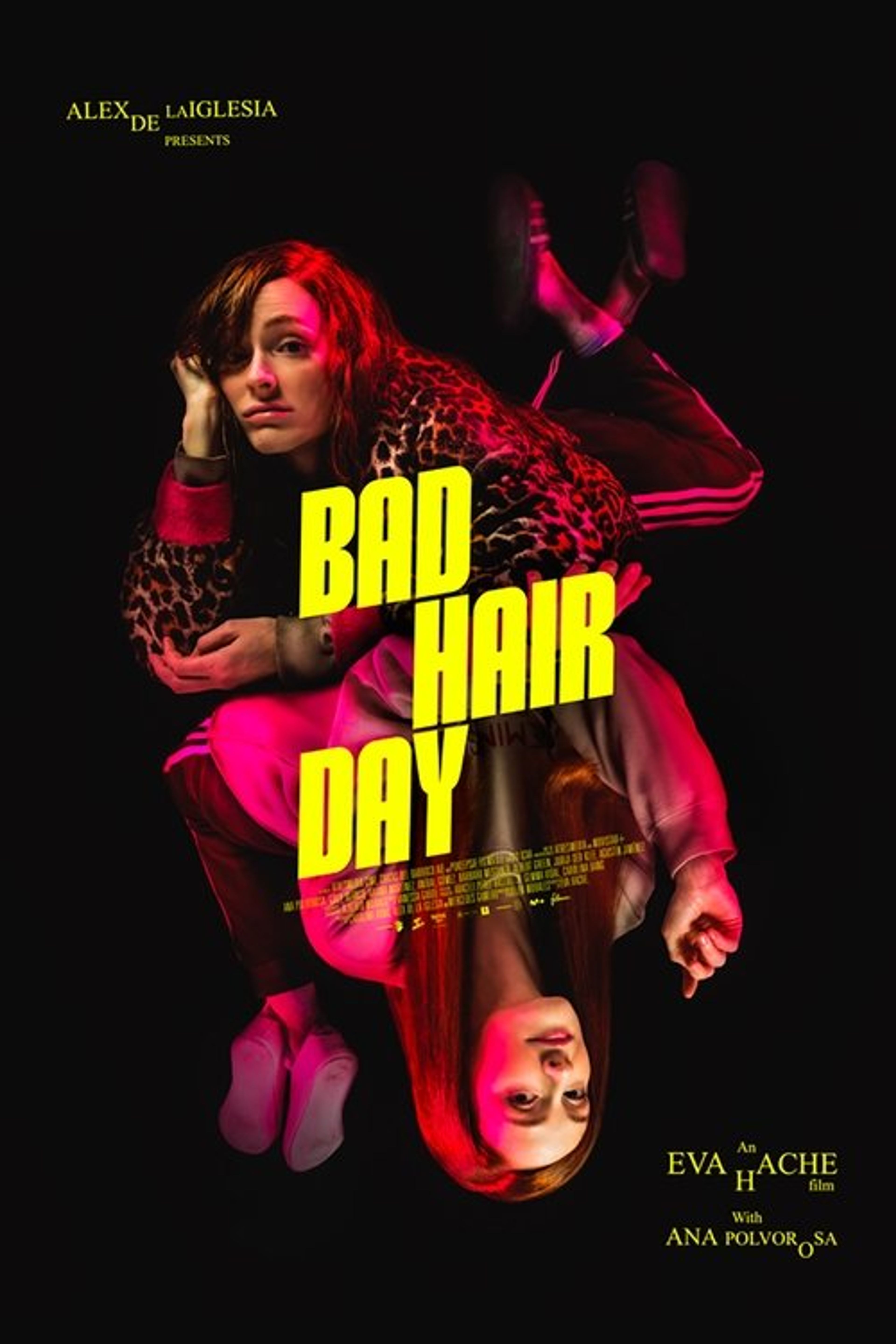 Poster image of Bad Hair Day