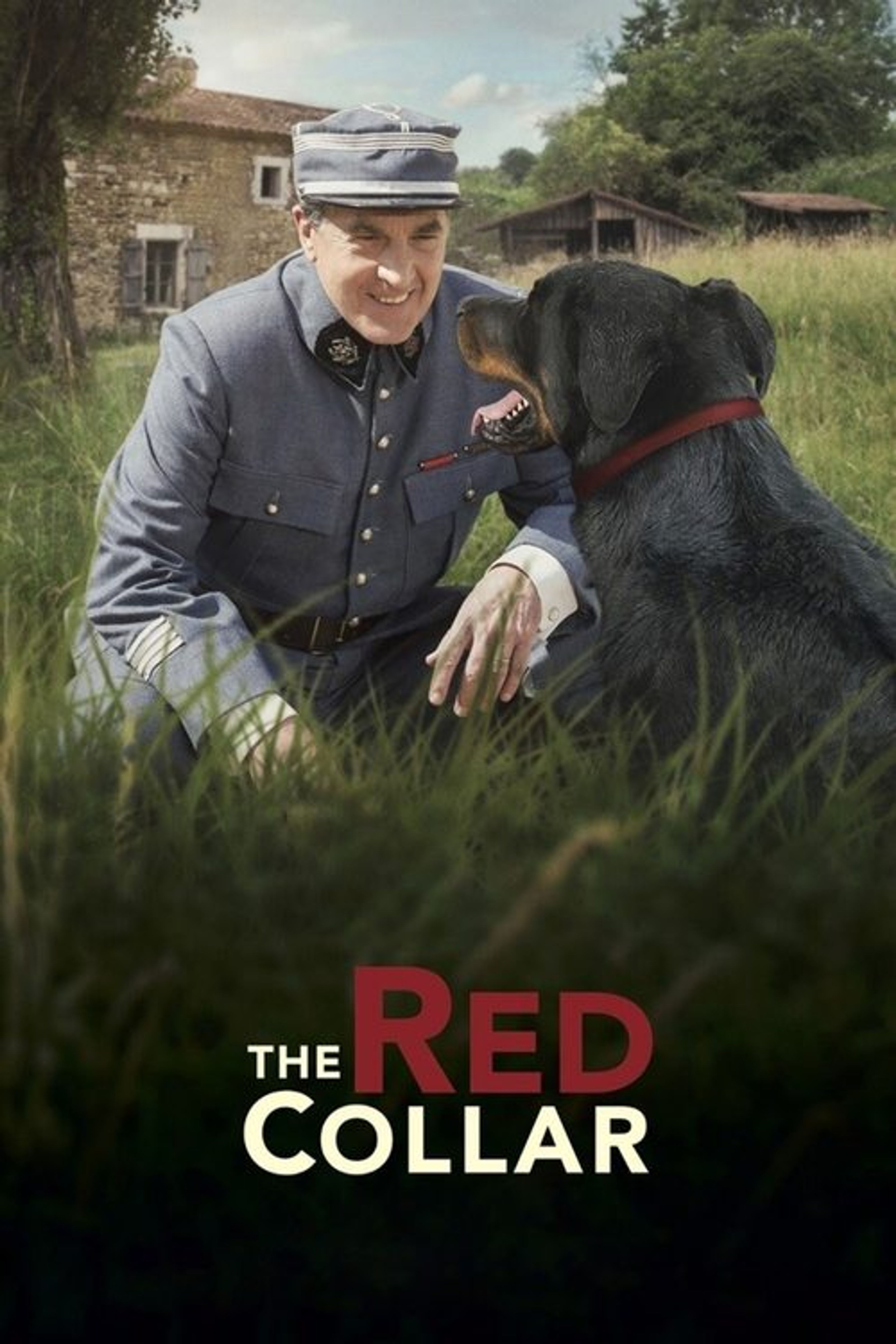 Poster image of The Red Collar