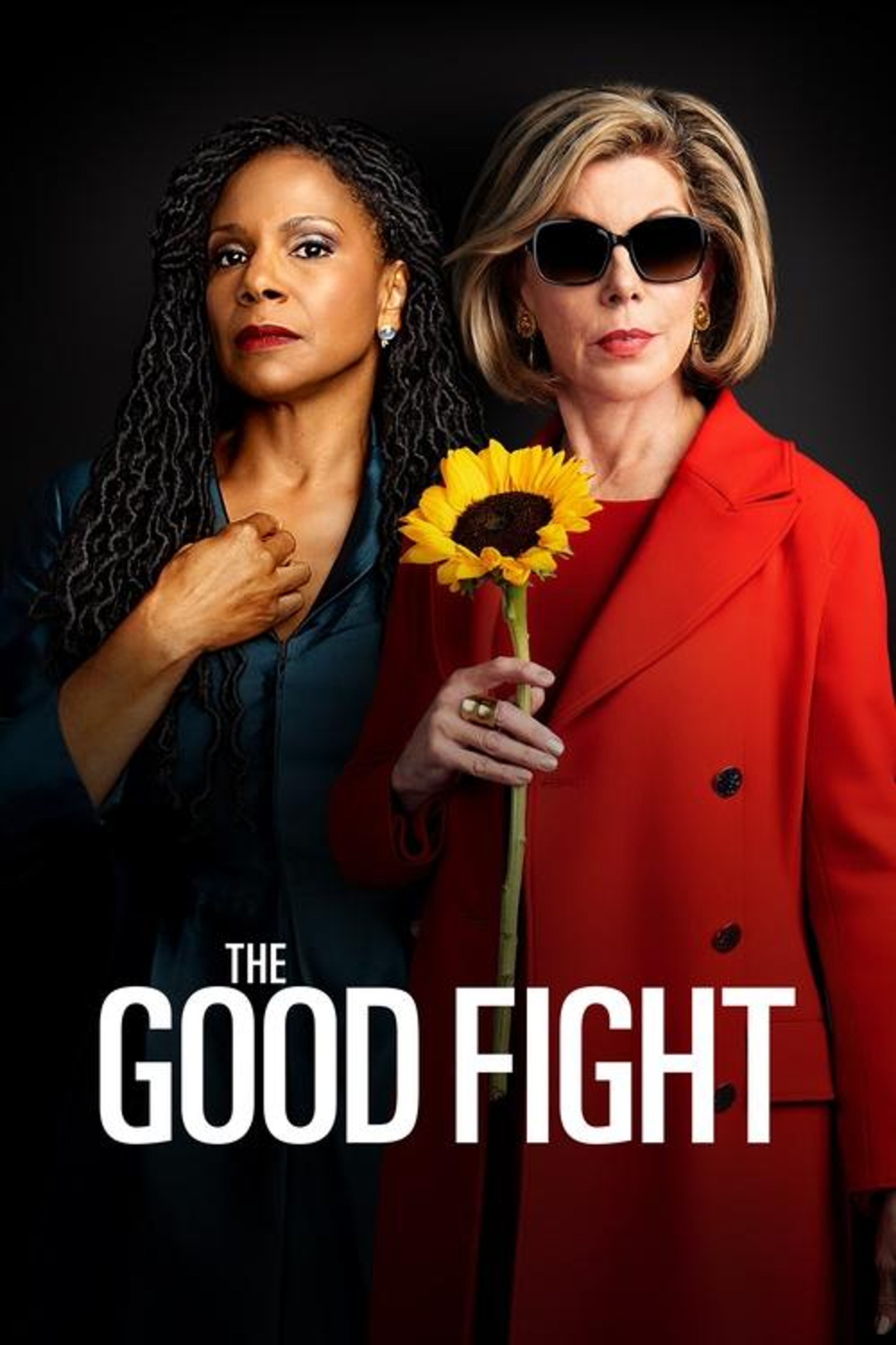 Poster image of The Good Fight