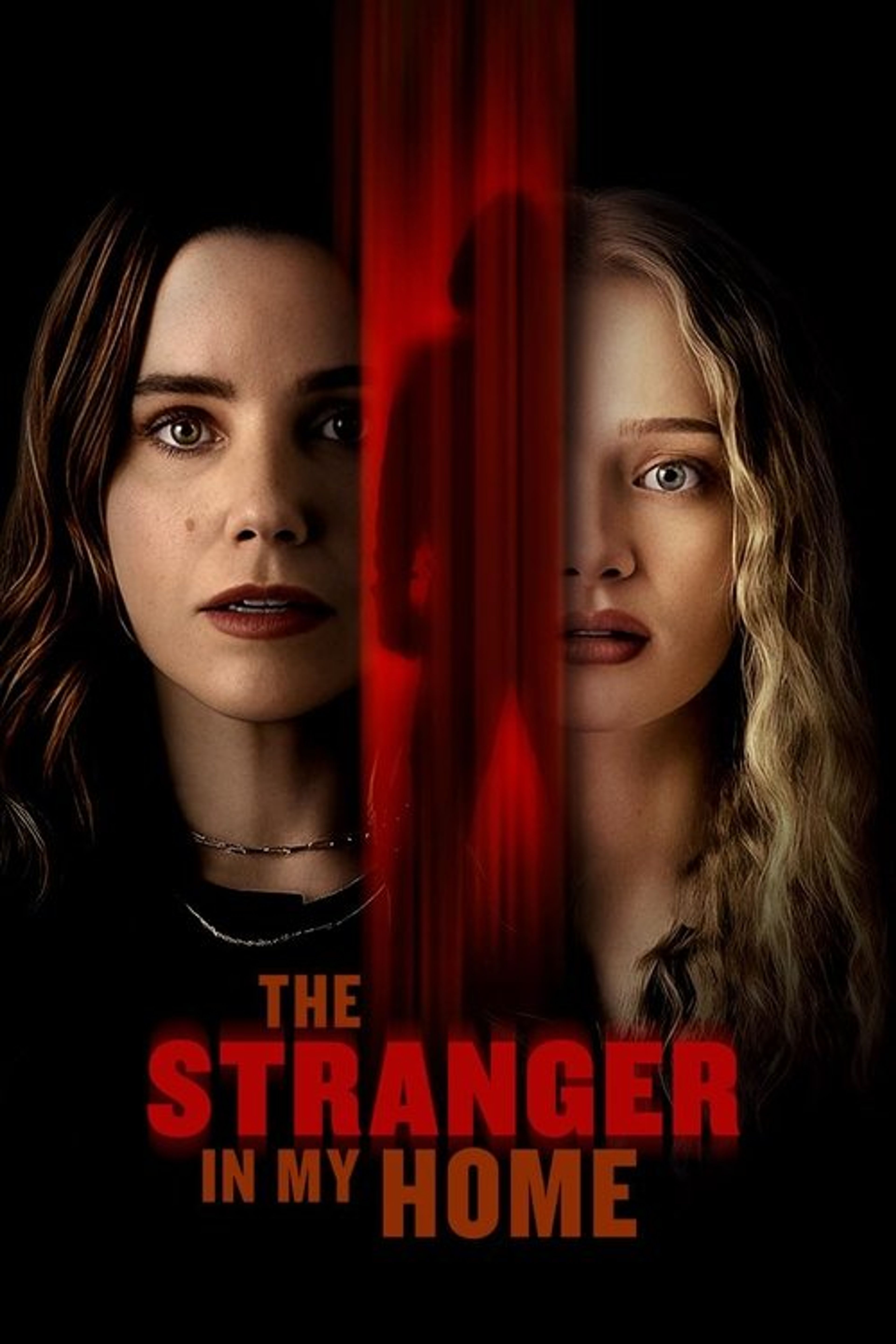 Poster image of The Stranger in My Home