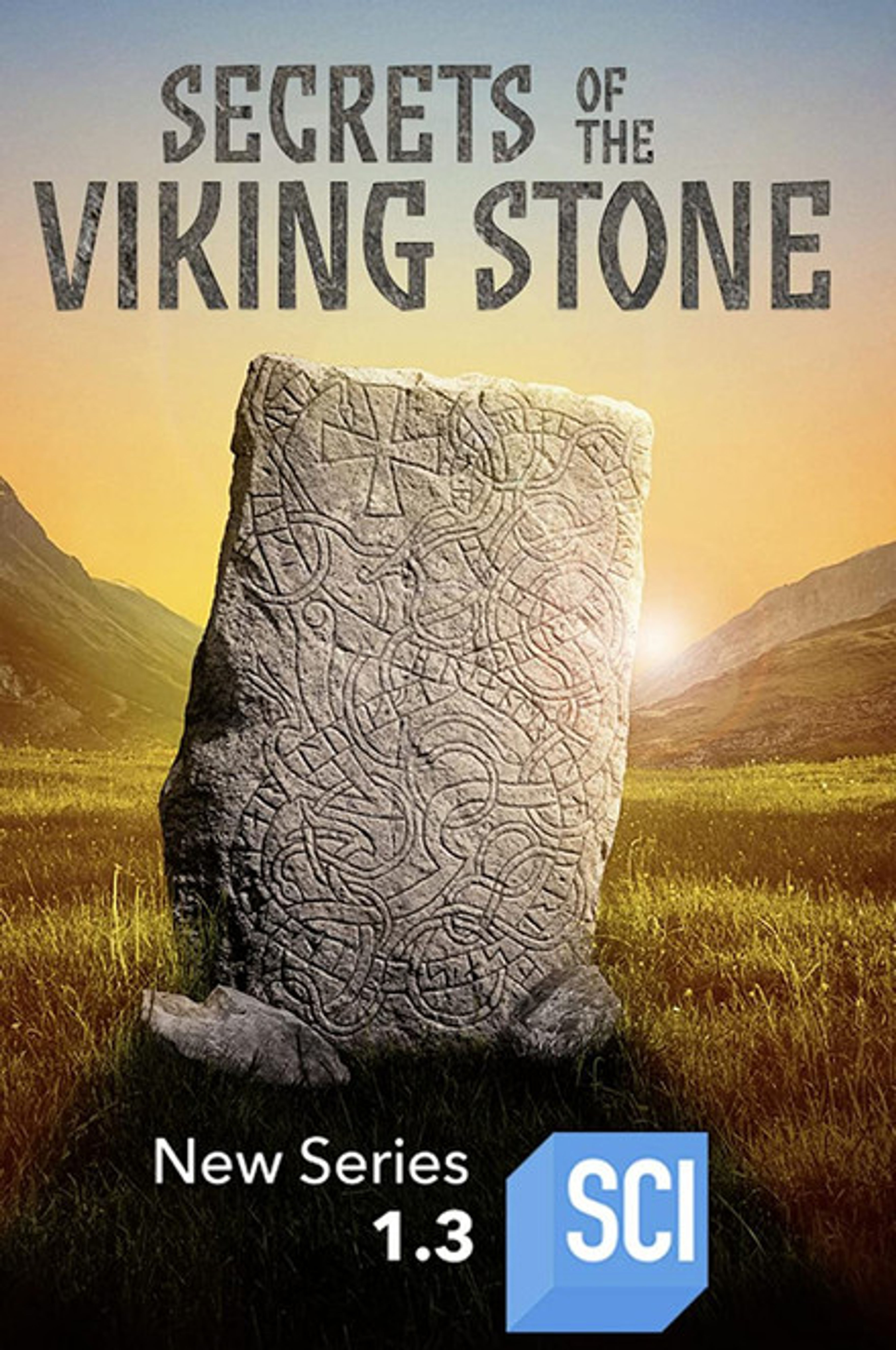 Poster image of Secrets of the Viking Stone