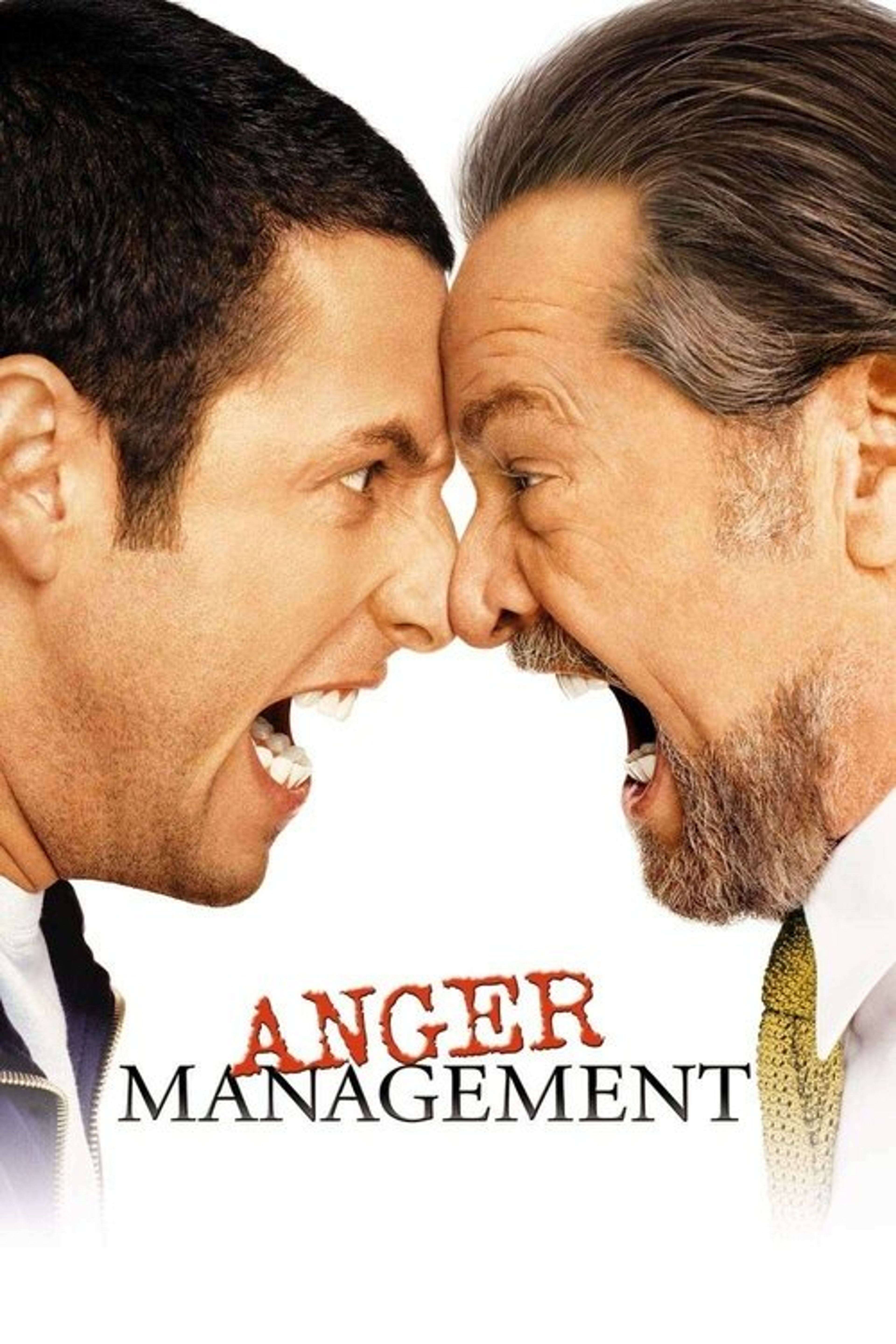 Poster image of Anger Management
