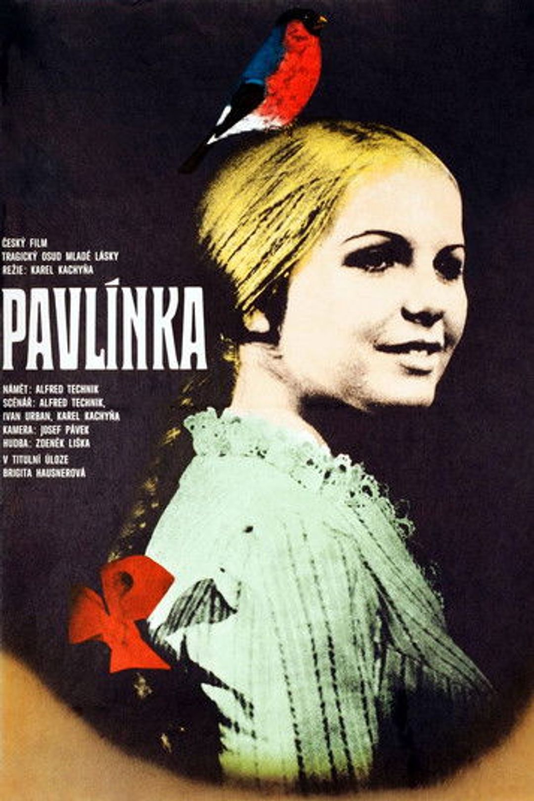 Poster image of Pavlínka