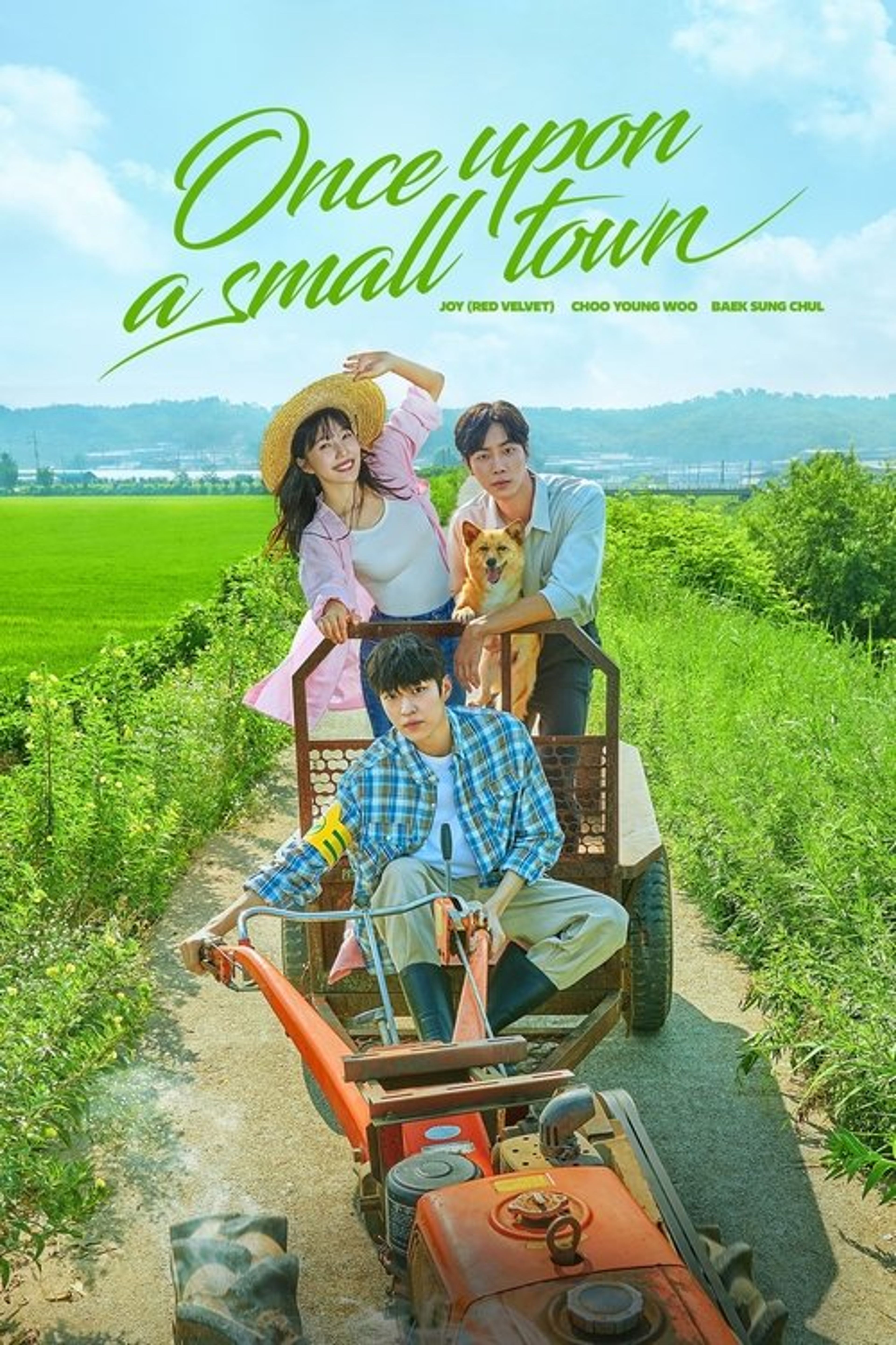 Poster image of Once Upon a Small Town