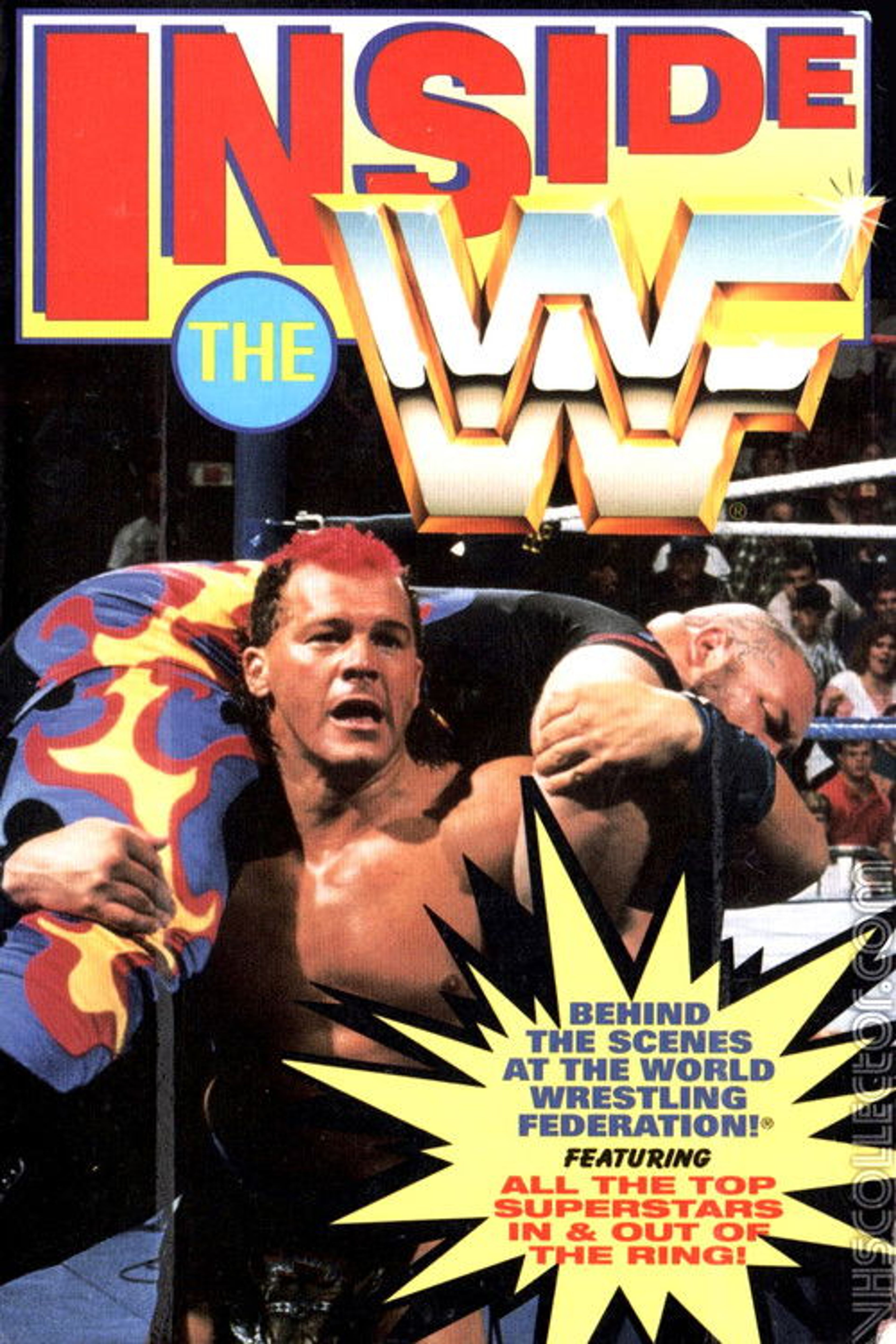 Poster image of Inside the WWF