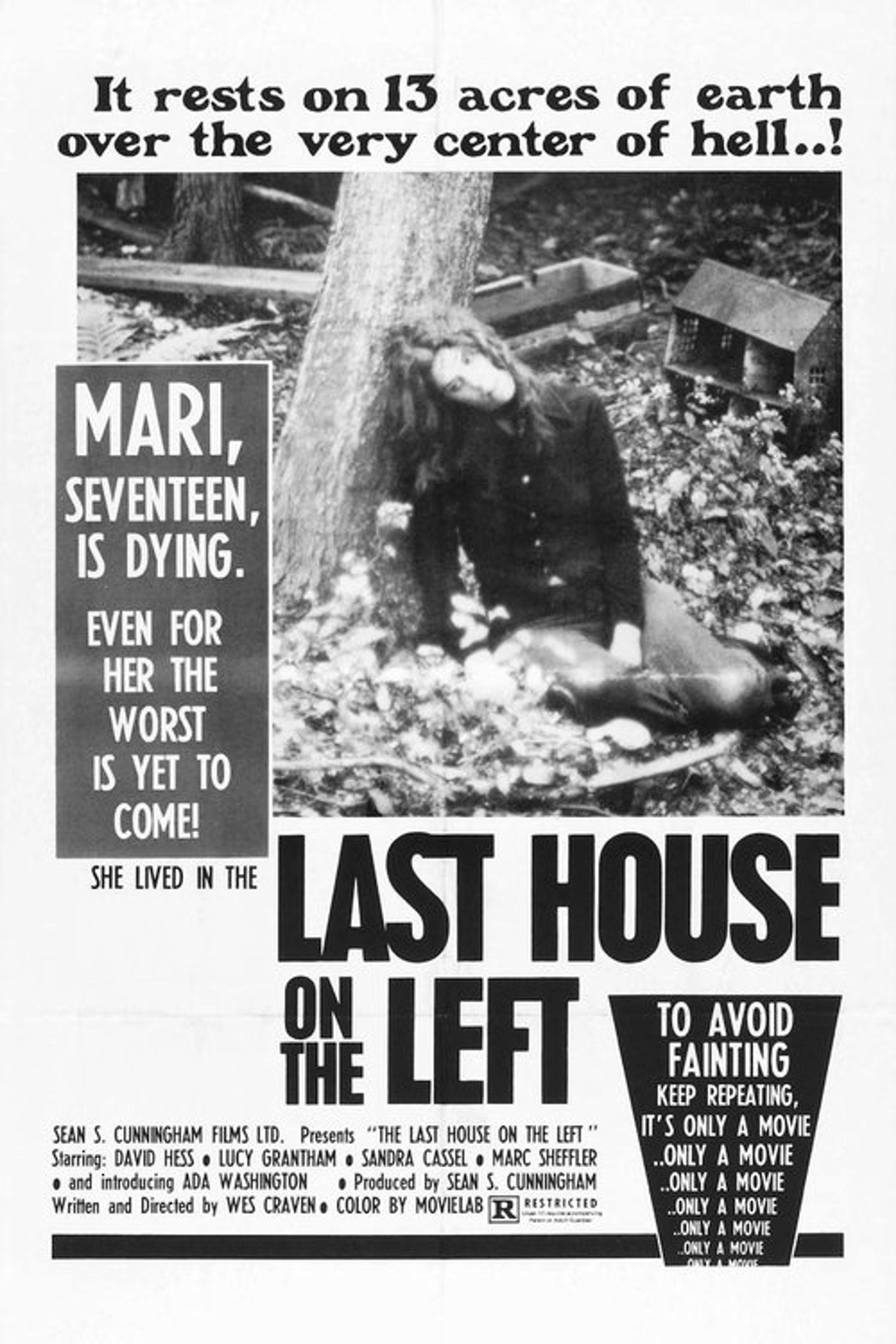 Poster image of The Last House on the Left