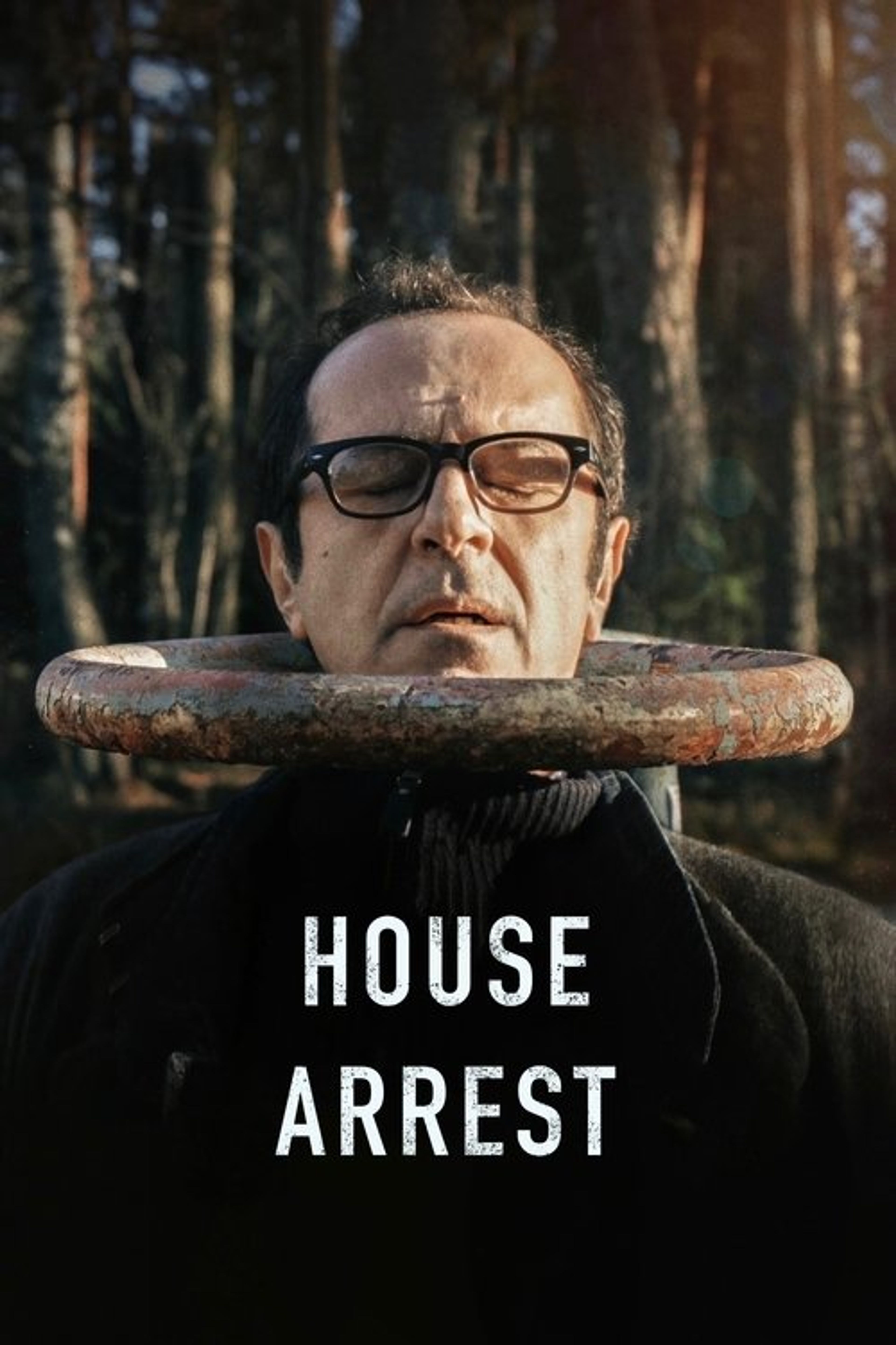 Poster image of House Arrest