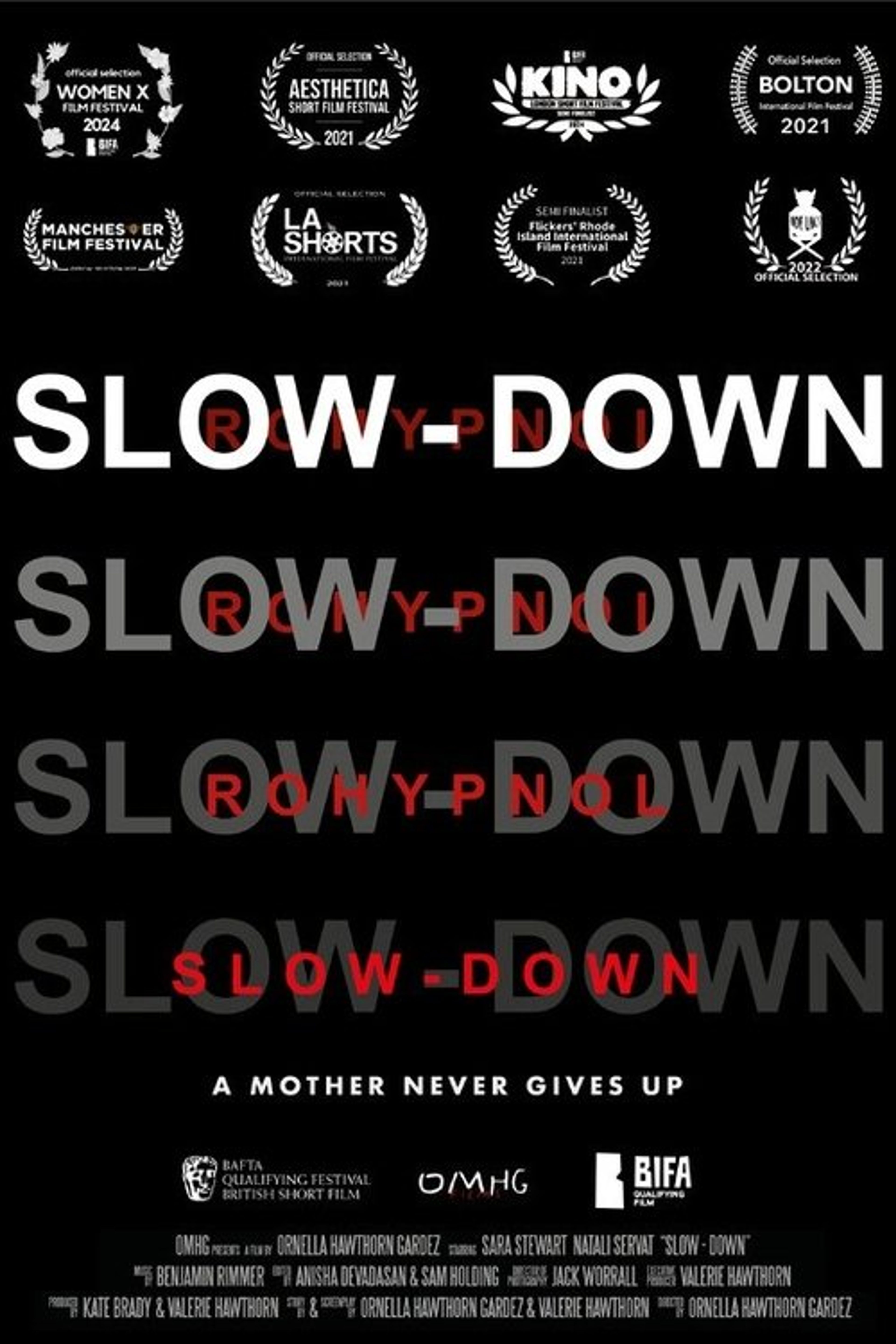 Poster image of Slow-Down