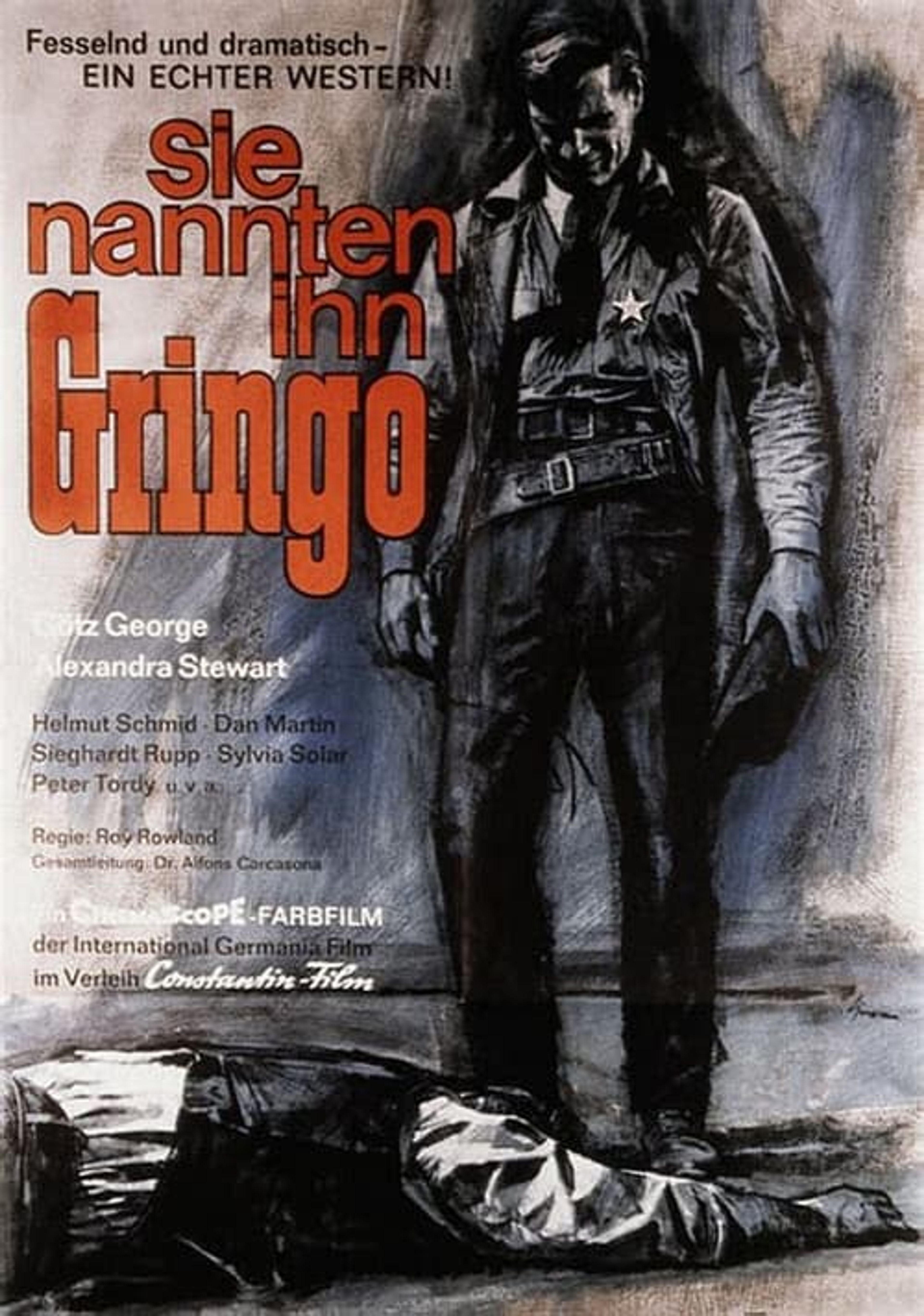 Poster image of Man Called Gringo