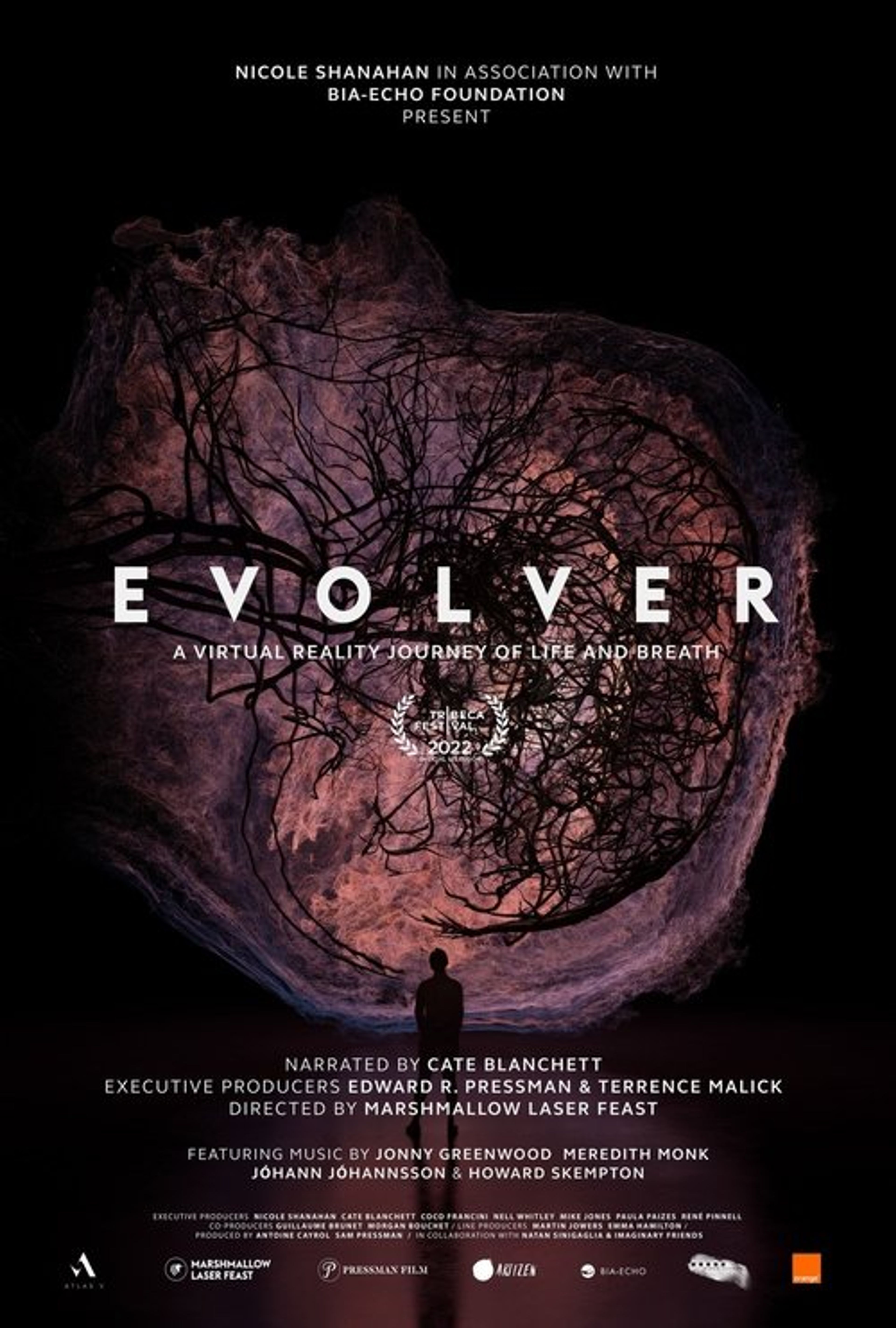 Poster image of Evolver