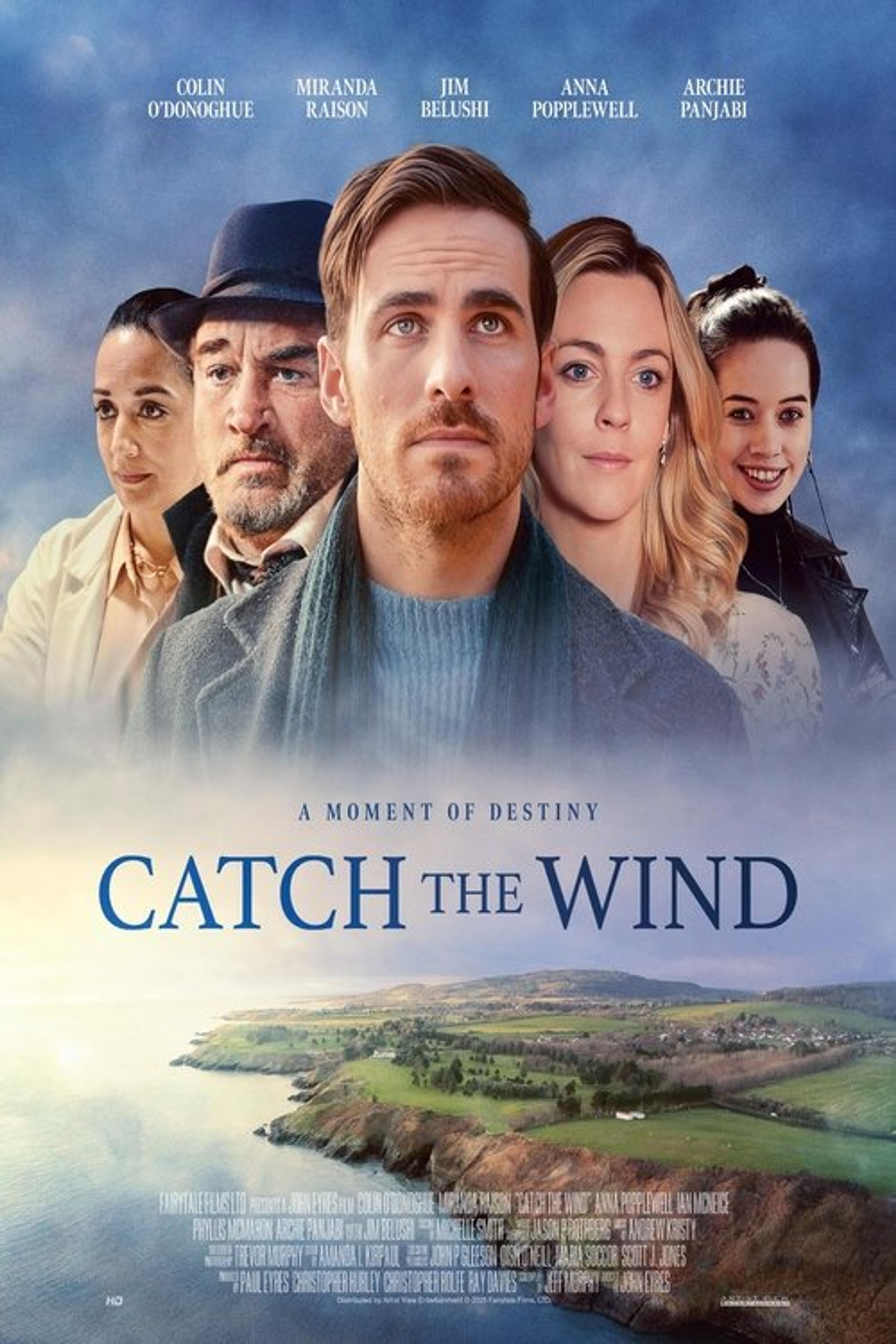 Poster image of Catch the Wind