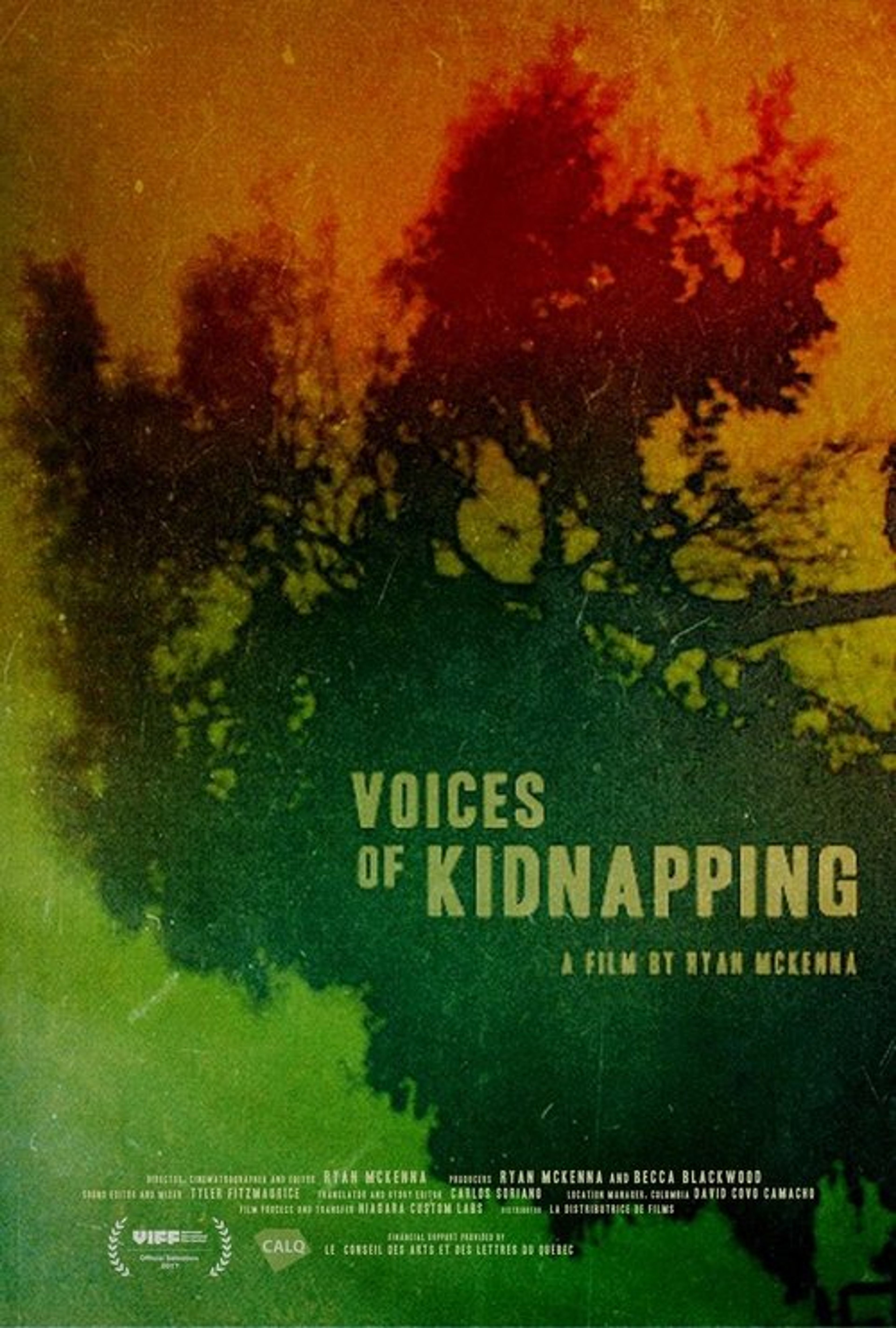 Poster image of Voices of Kidnapping