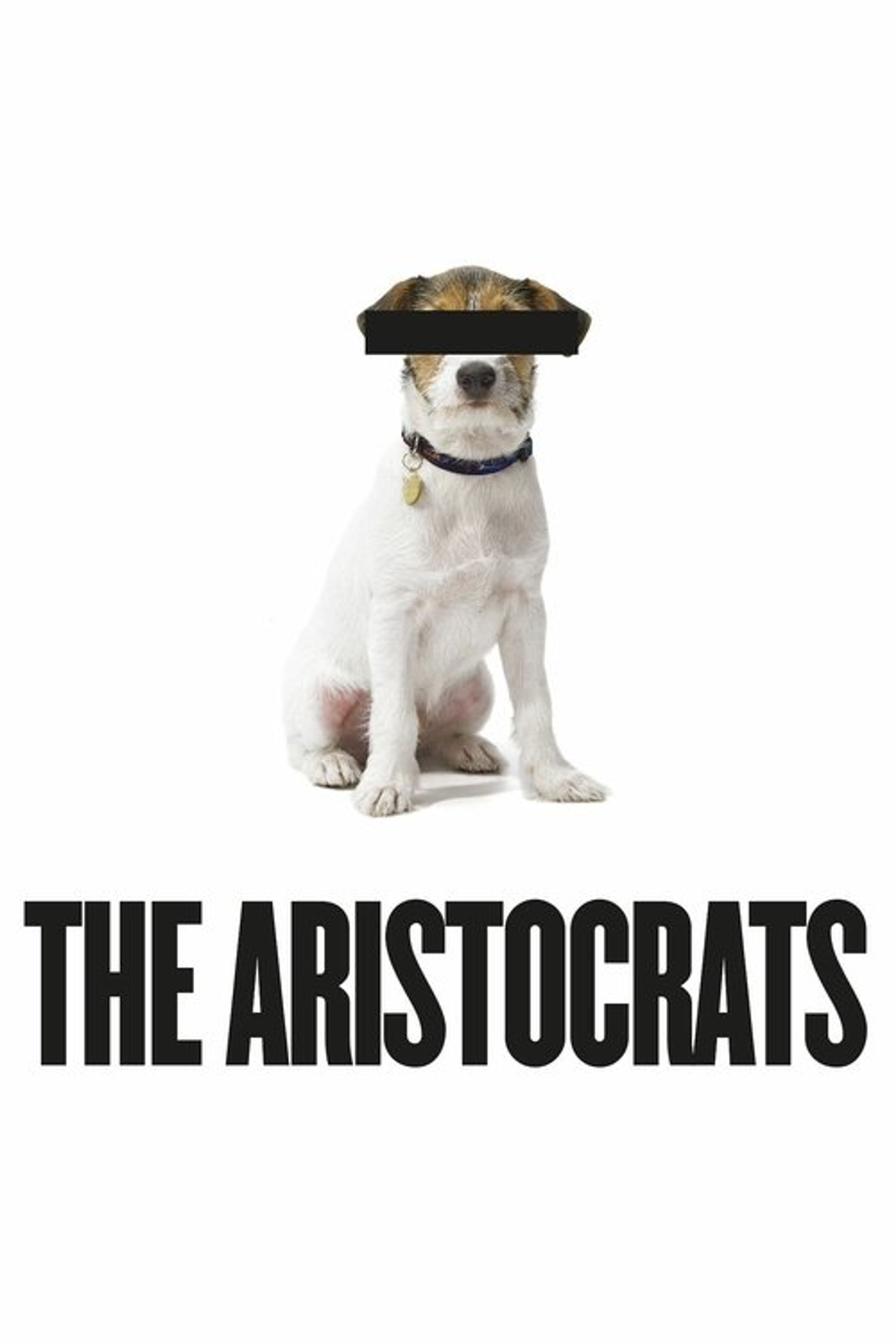 Poster image of The Aristocrats