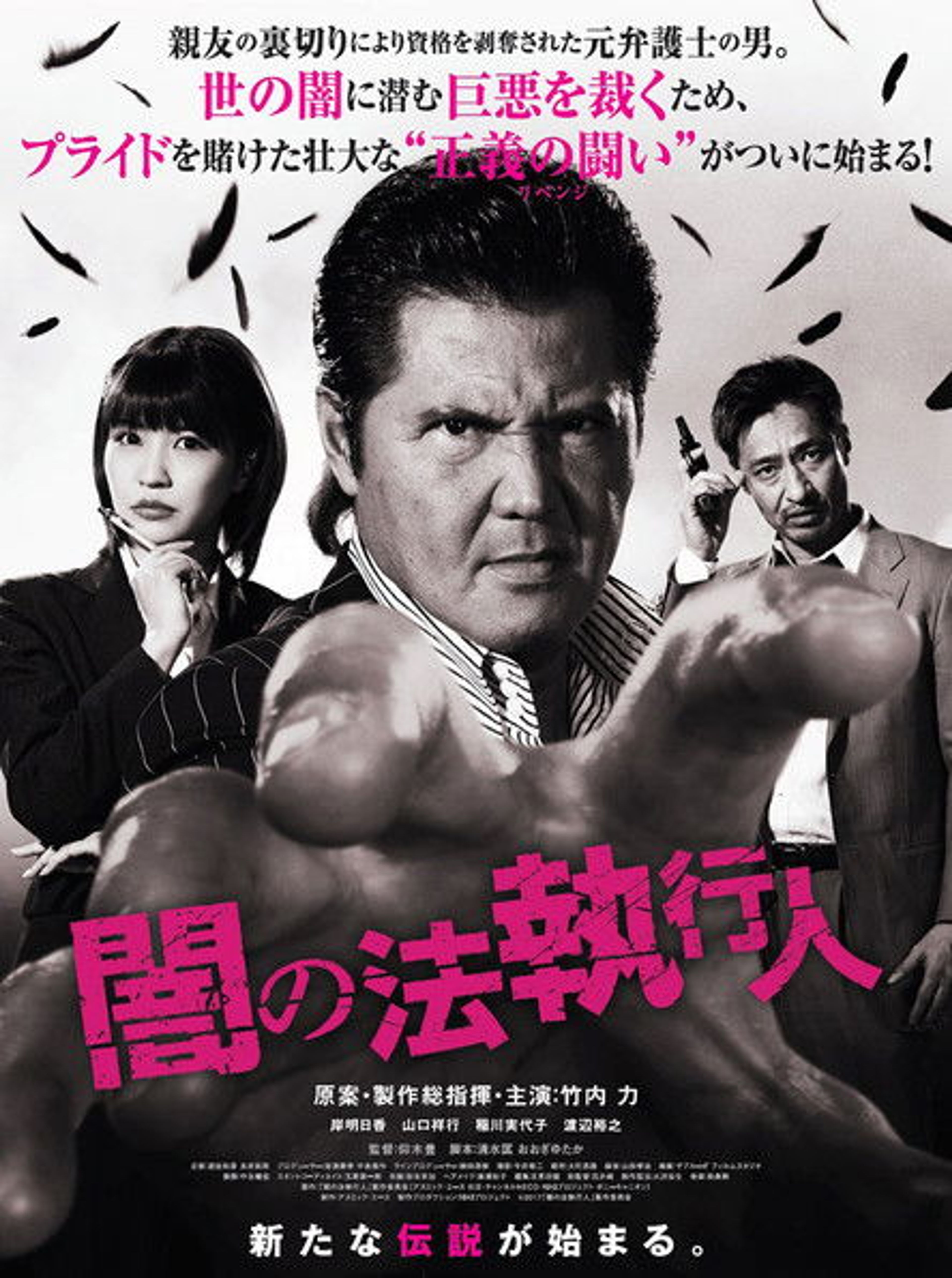 Poster image of Dark Law Enforcement