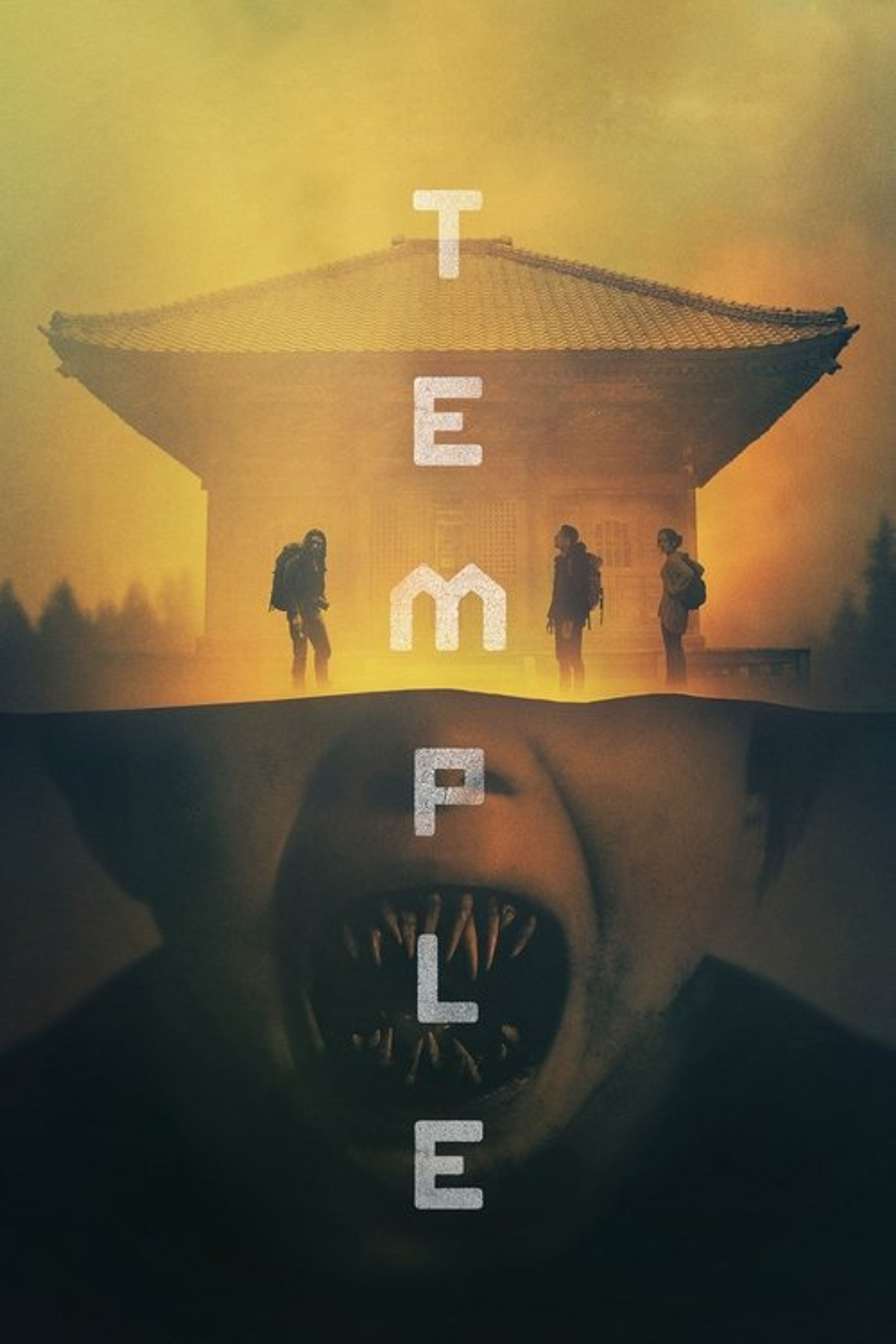 Poster image of Temple