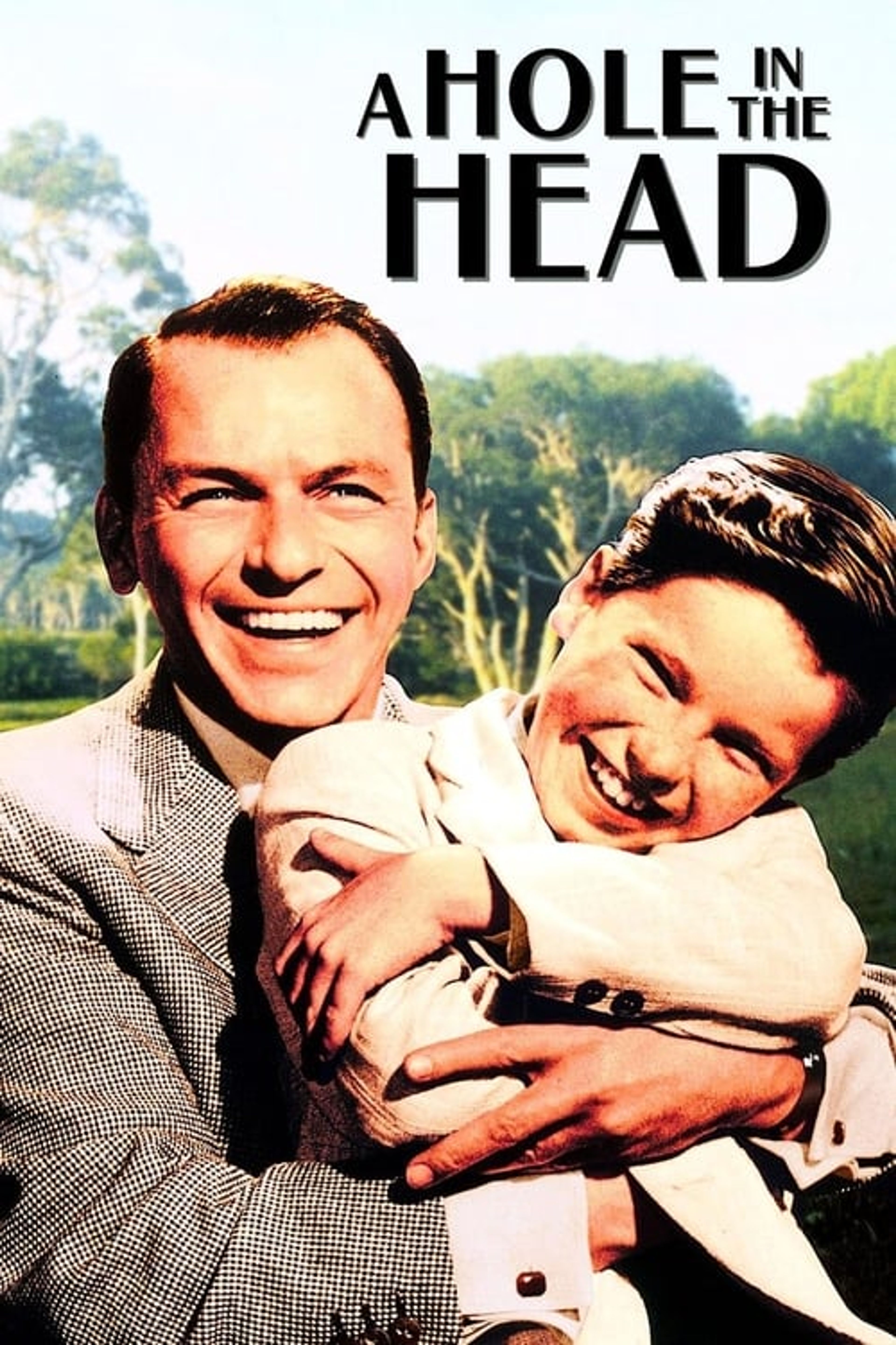 Poster image of A Hole in the Head