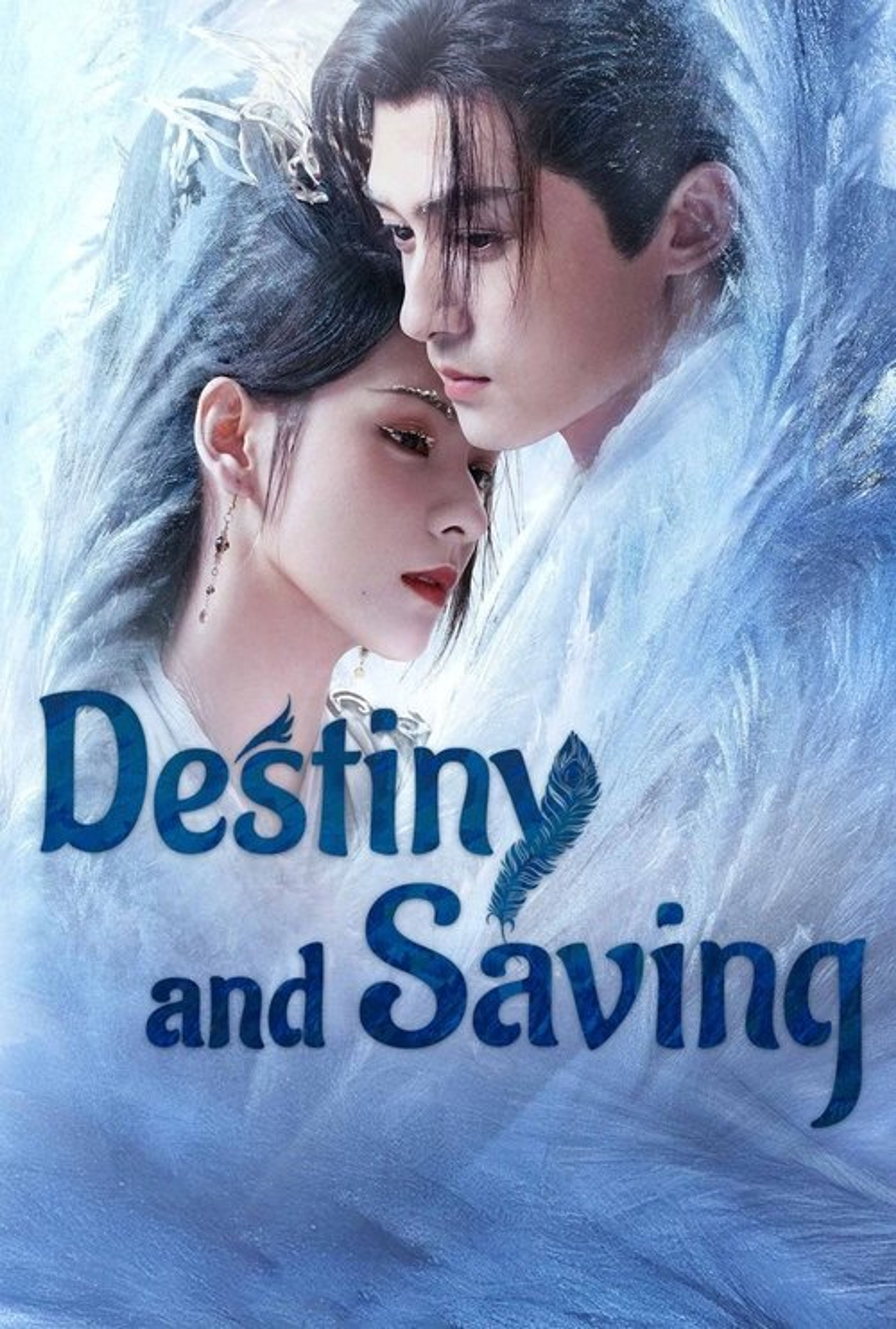 Poster image of Destiny and Saving
