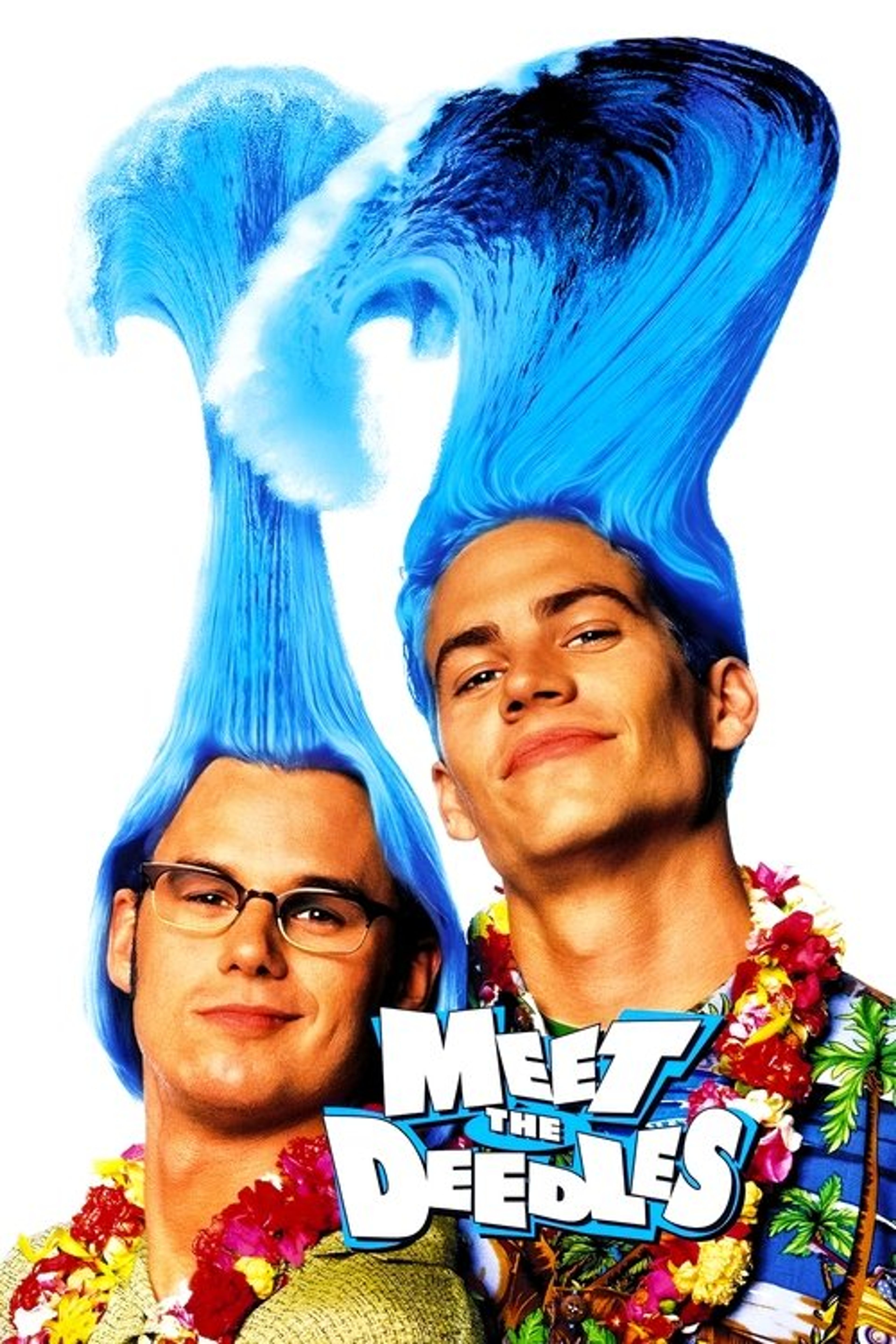 Poster image of Meet the Deedles