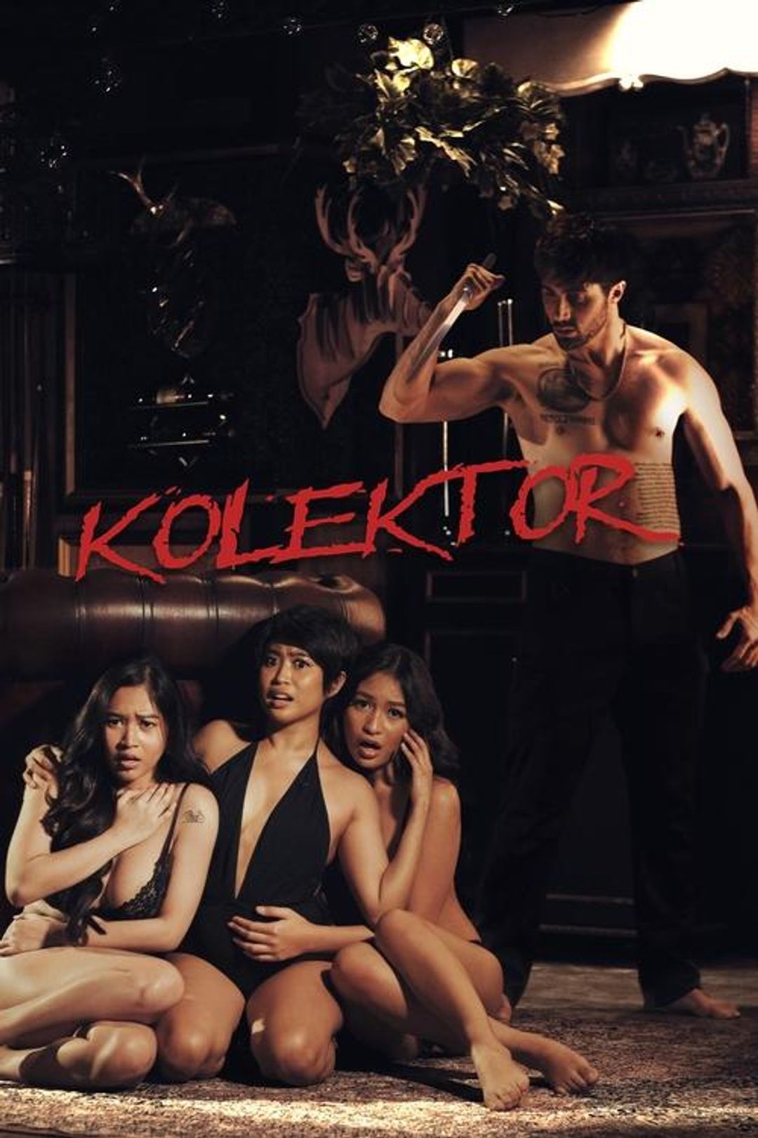 Poster image of Kolektor