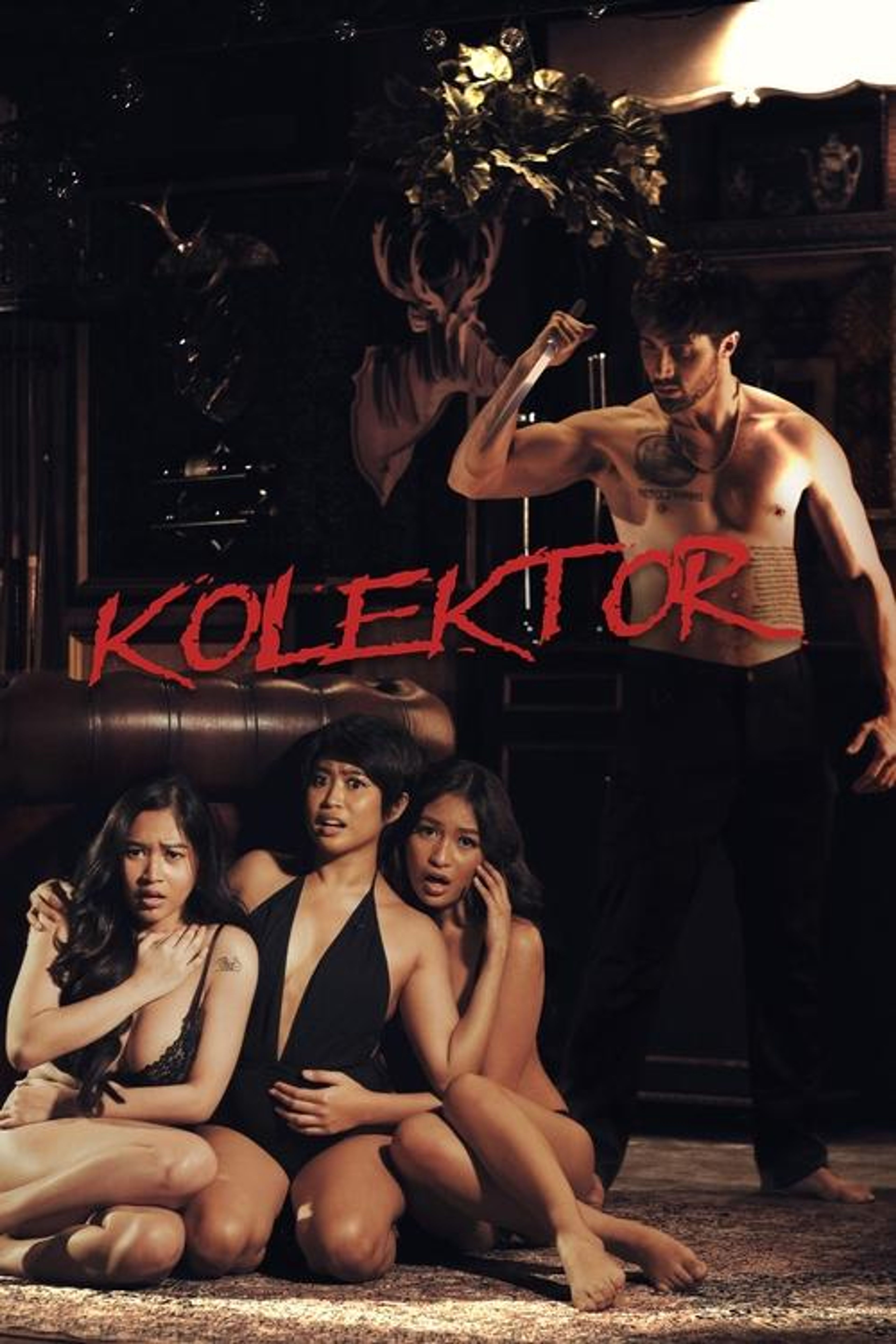 Poster image of Kolektor