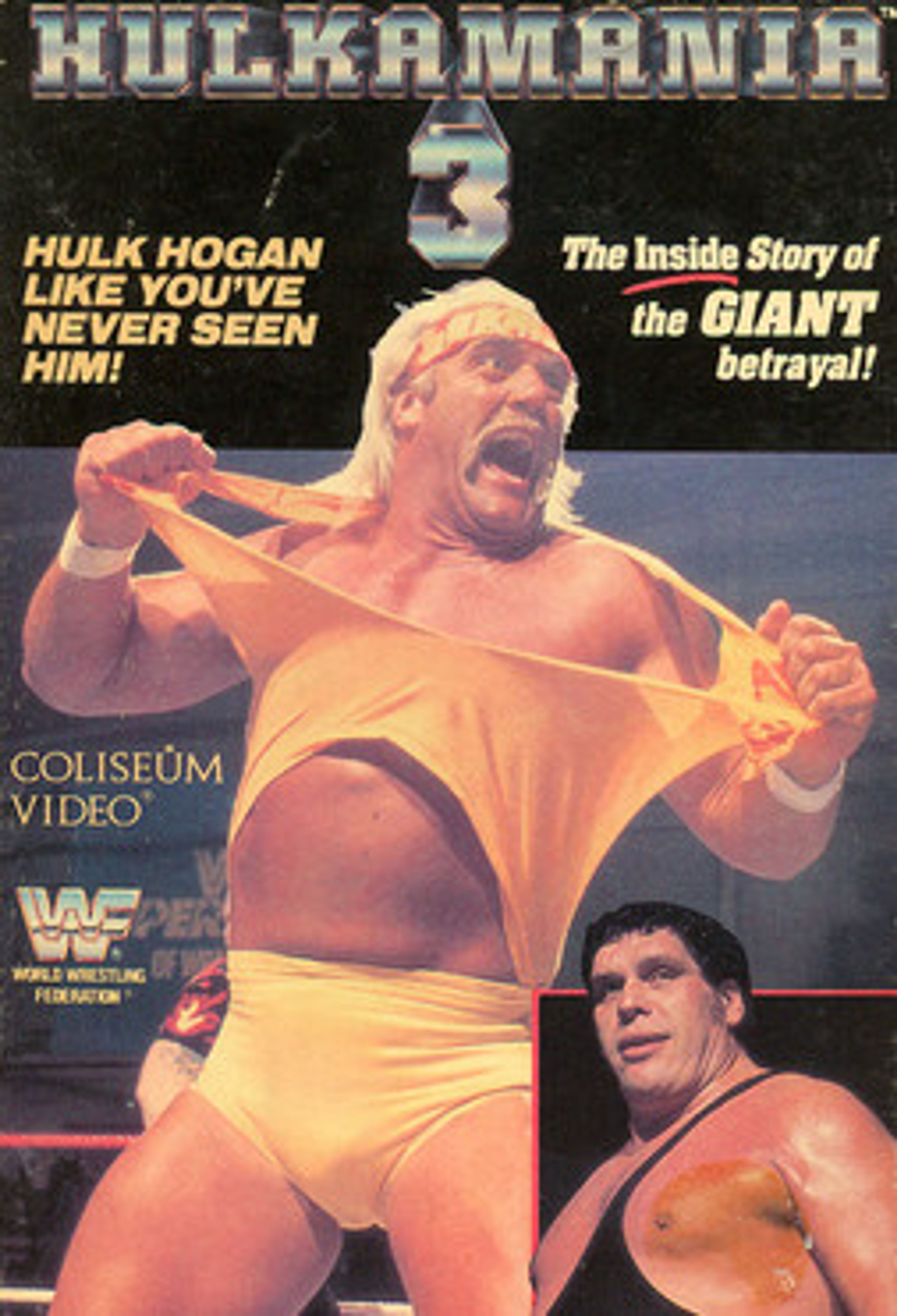 Poster image of Hulkamania 3