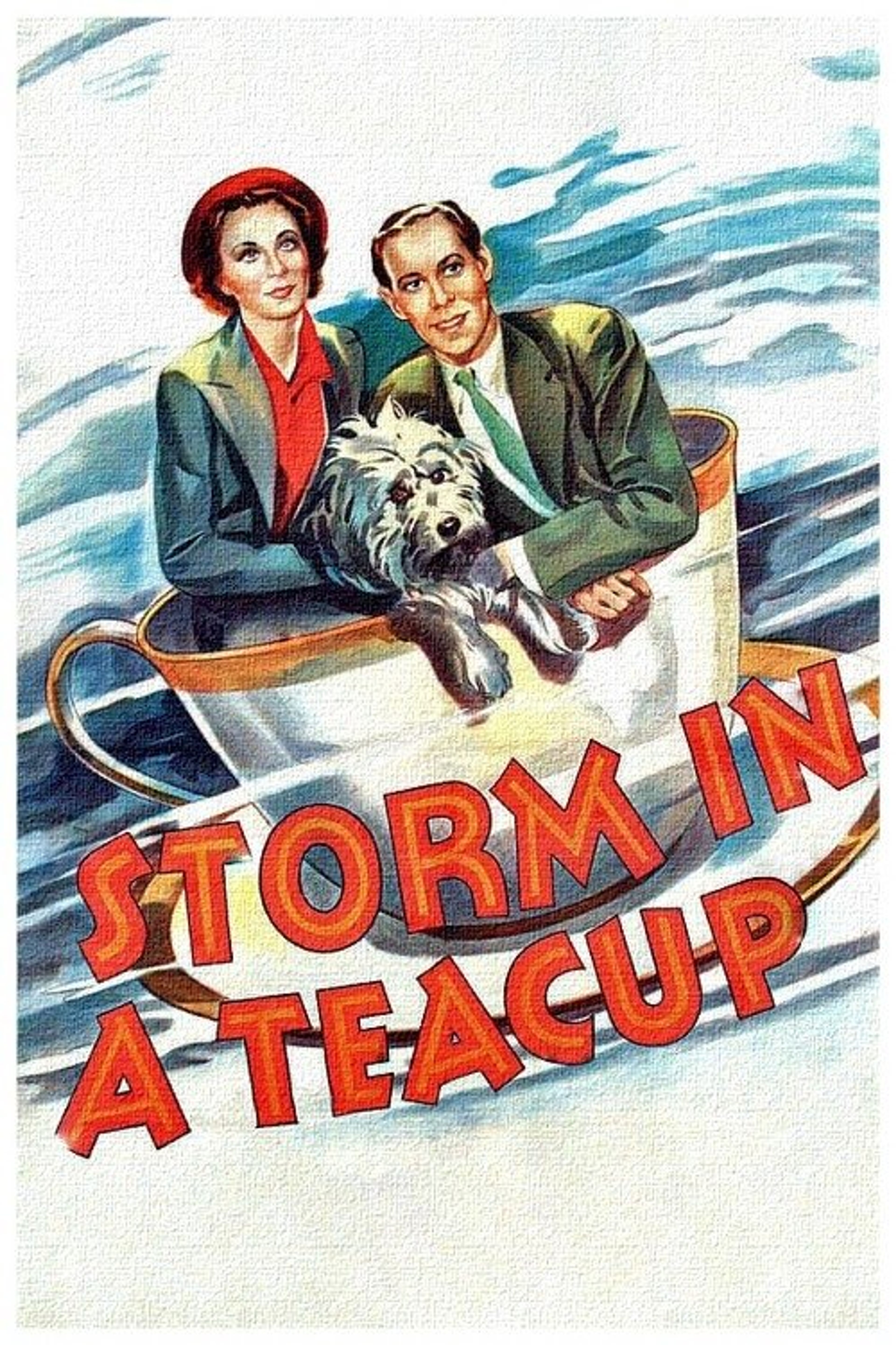 Poster image of Storm in a Teacup