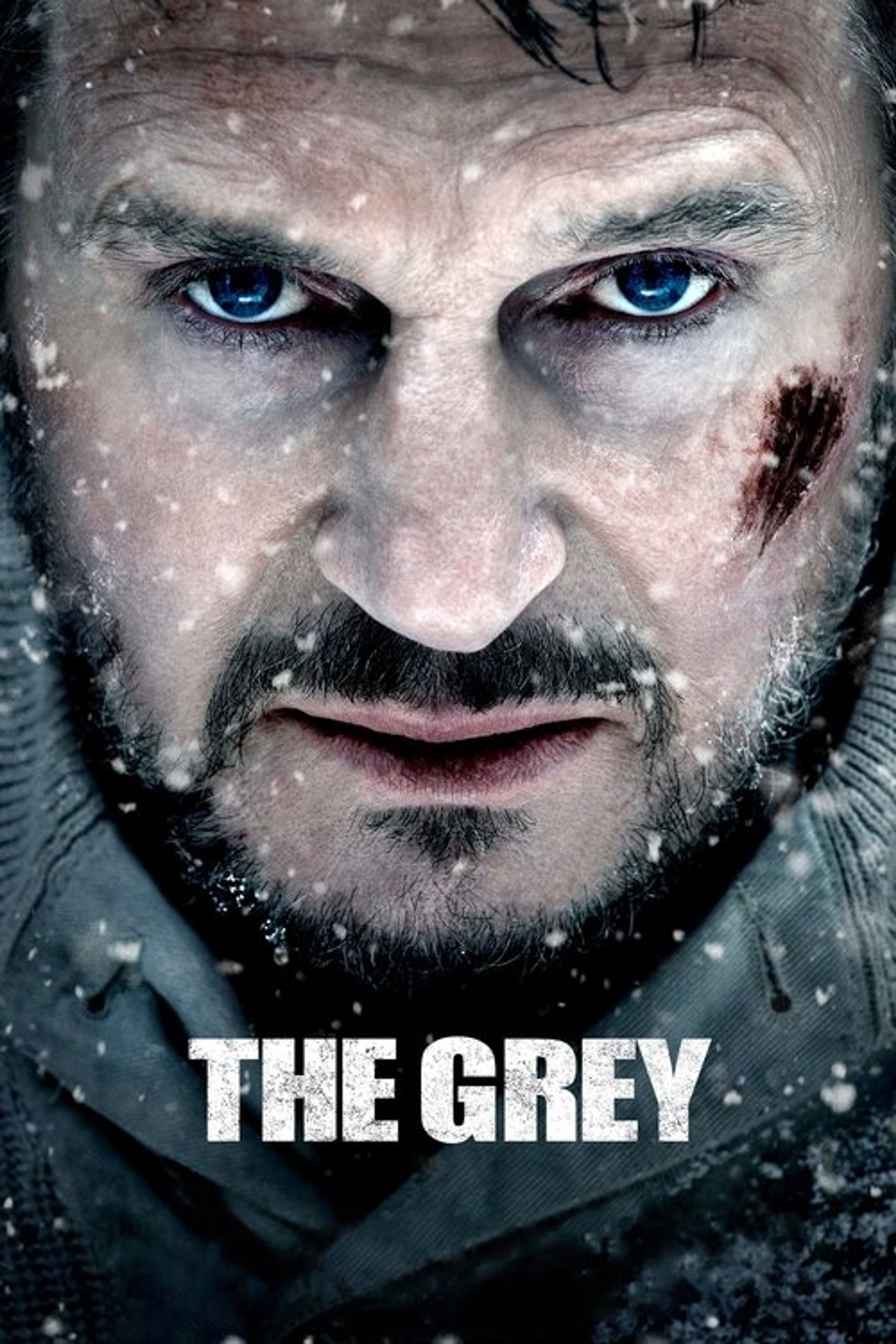 Poster image of The Grey