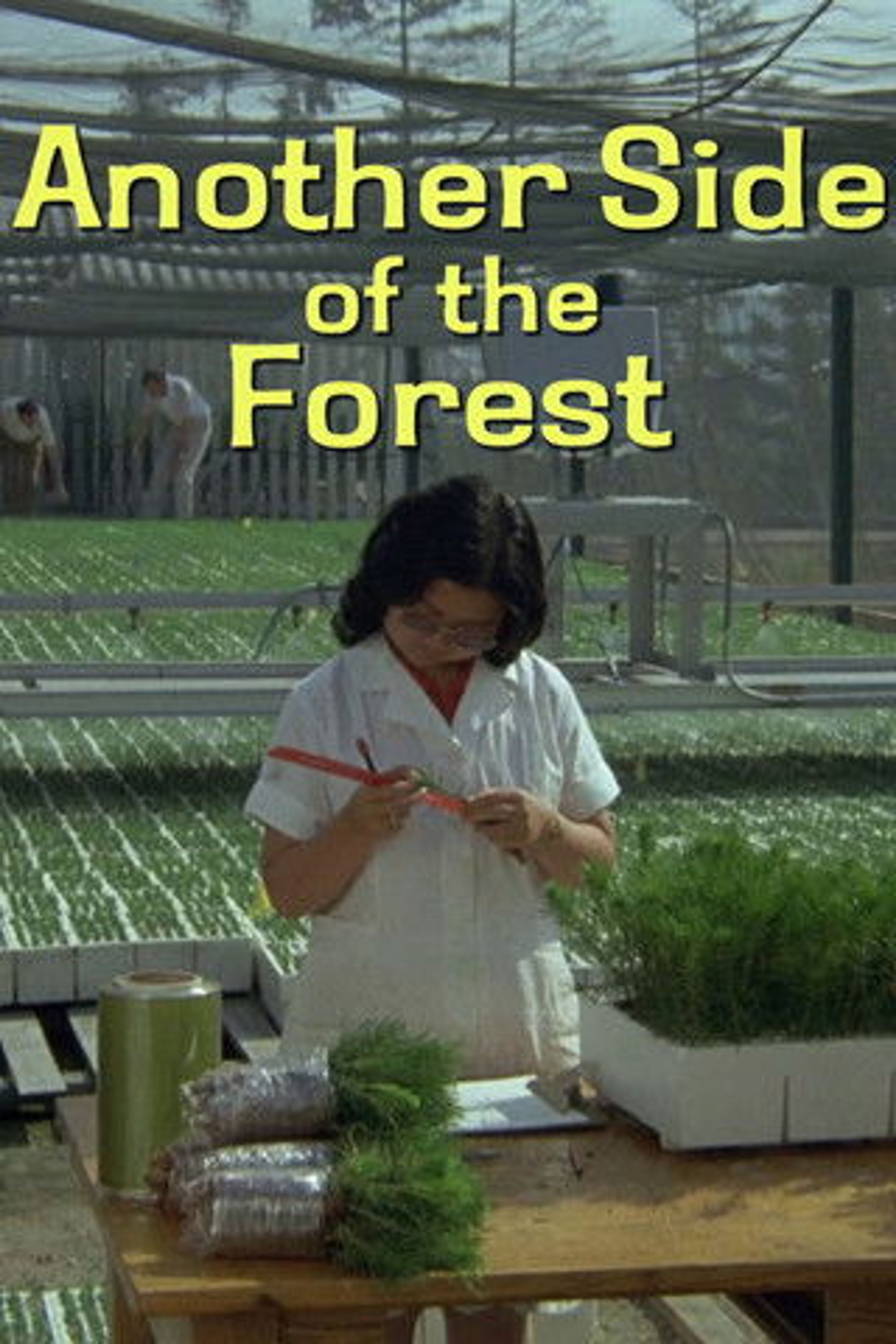 Poster image of Another Side of the Forest