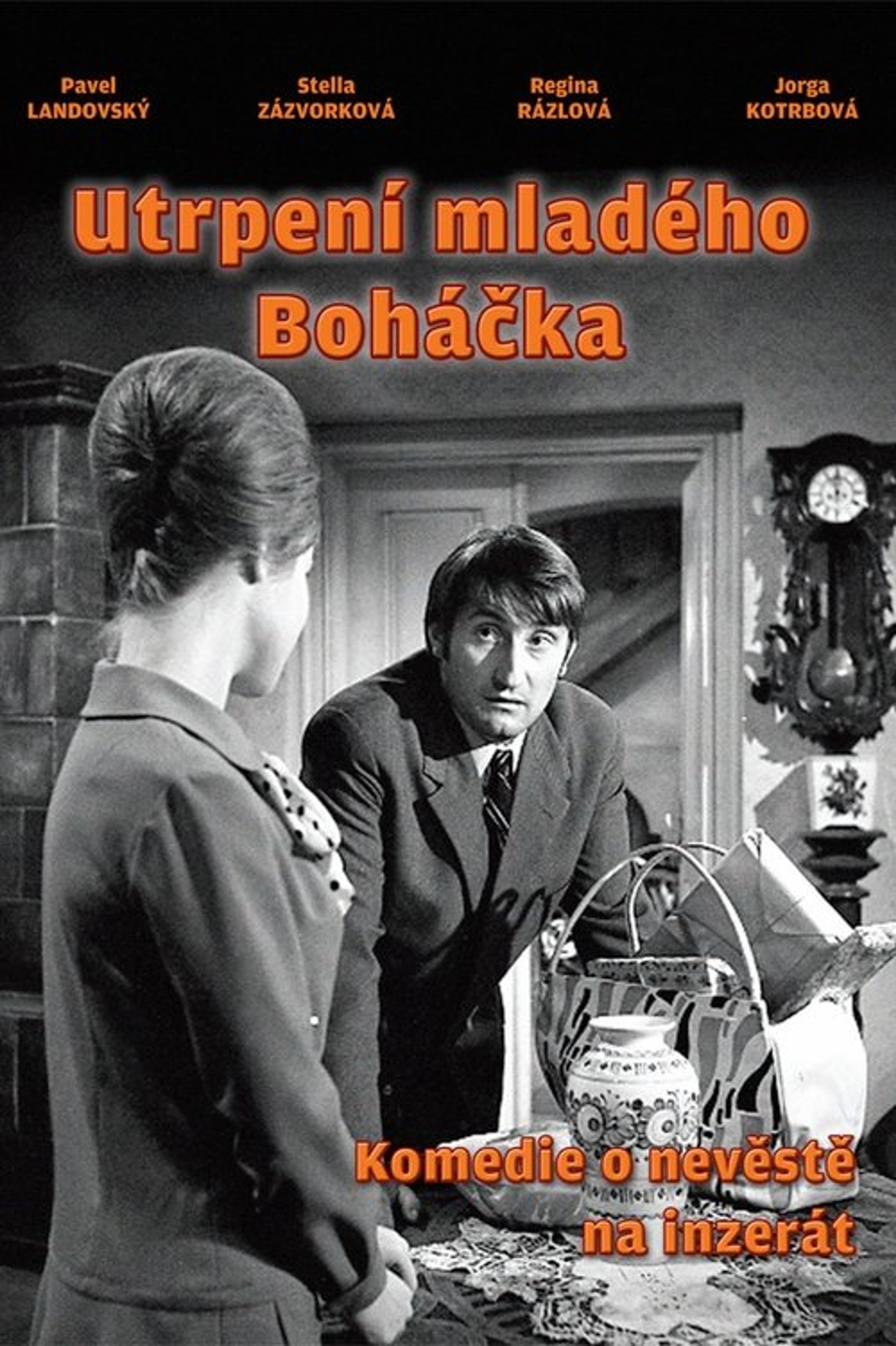 Poster image of Young Bohácek's Sufferings