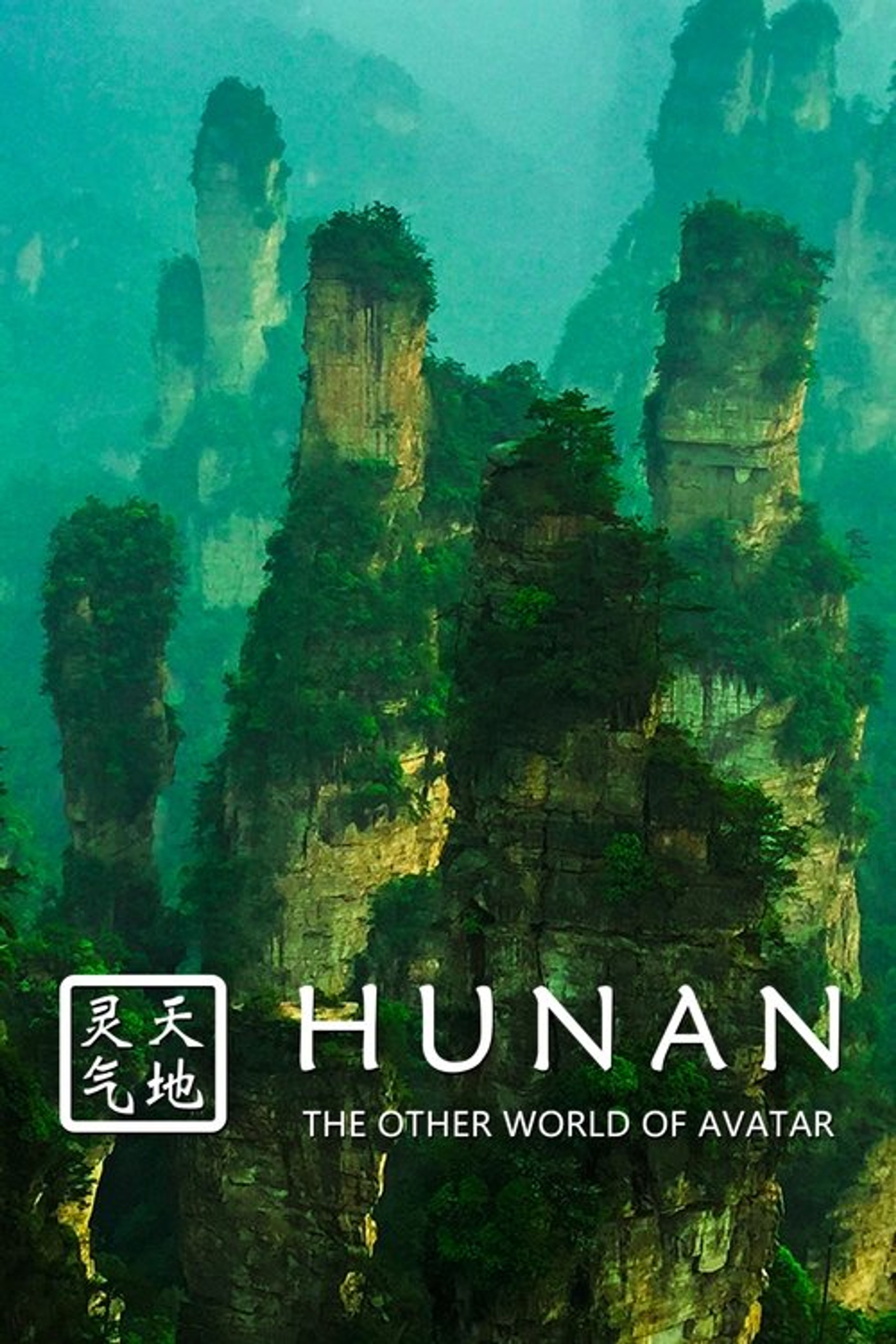 Poster image of Hunan: The Other World of Avatar