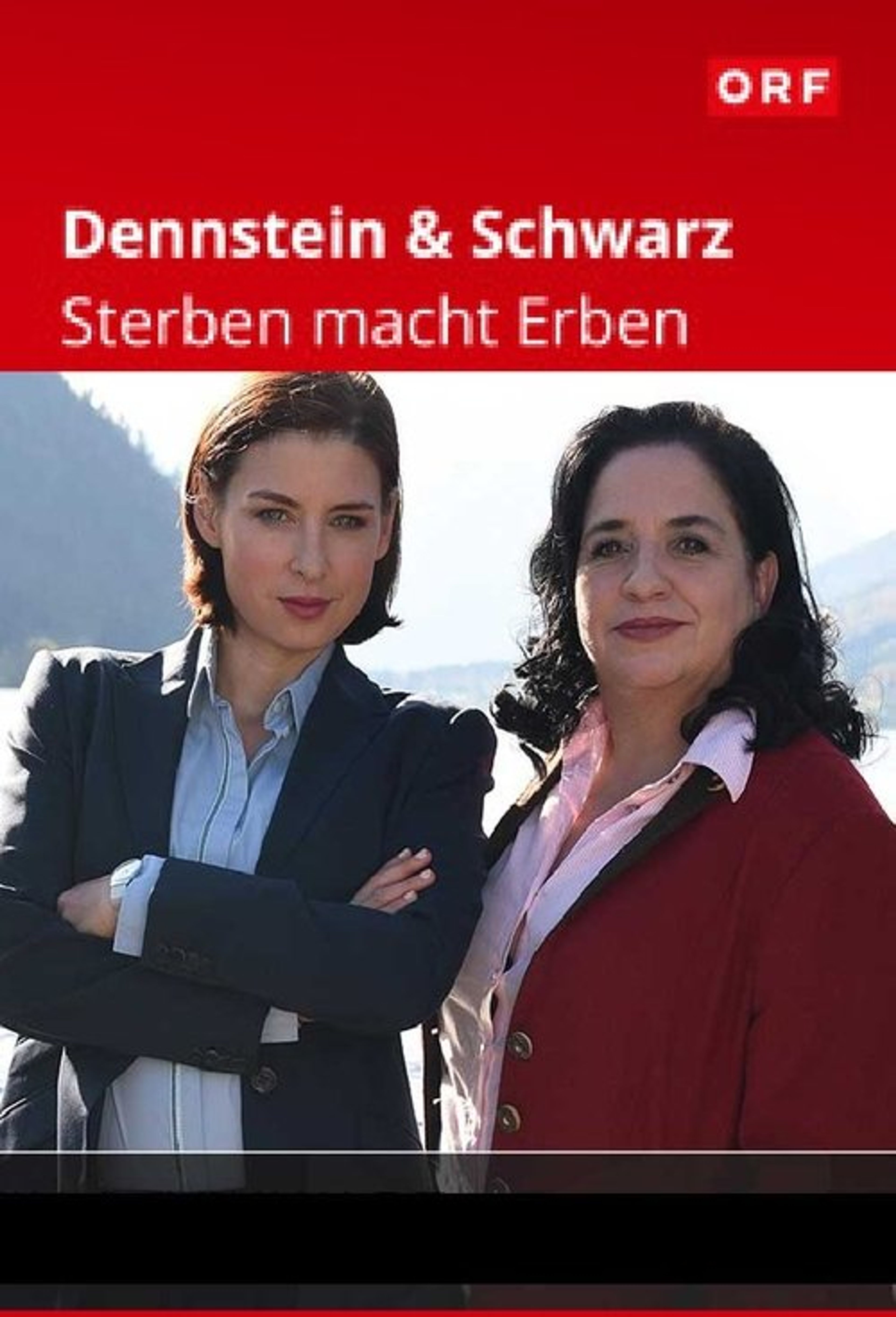 Poster image of Dennstein & Schwarz - Sterben macht Erben