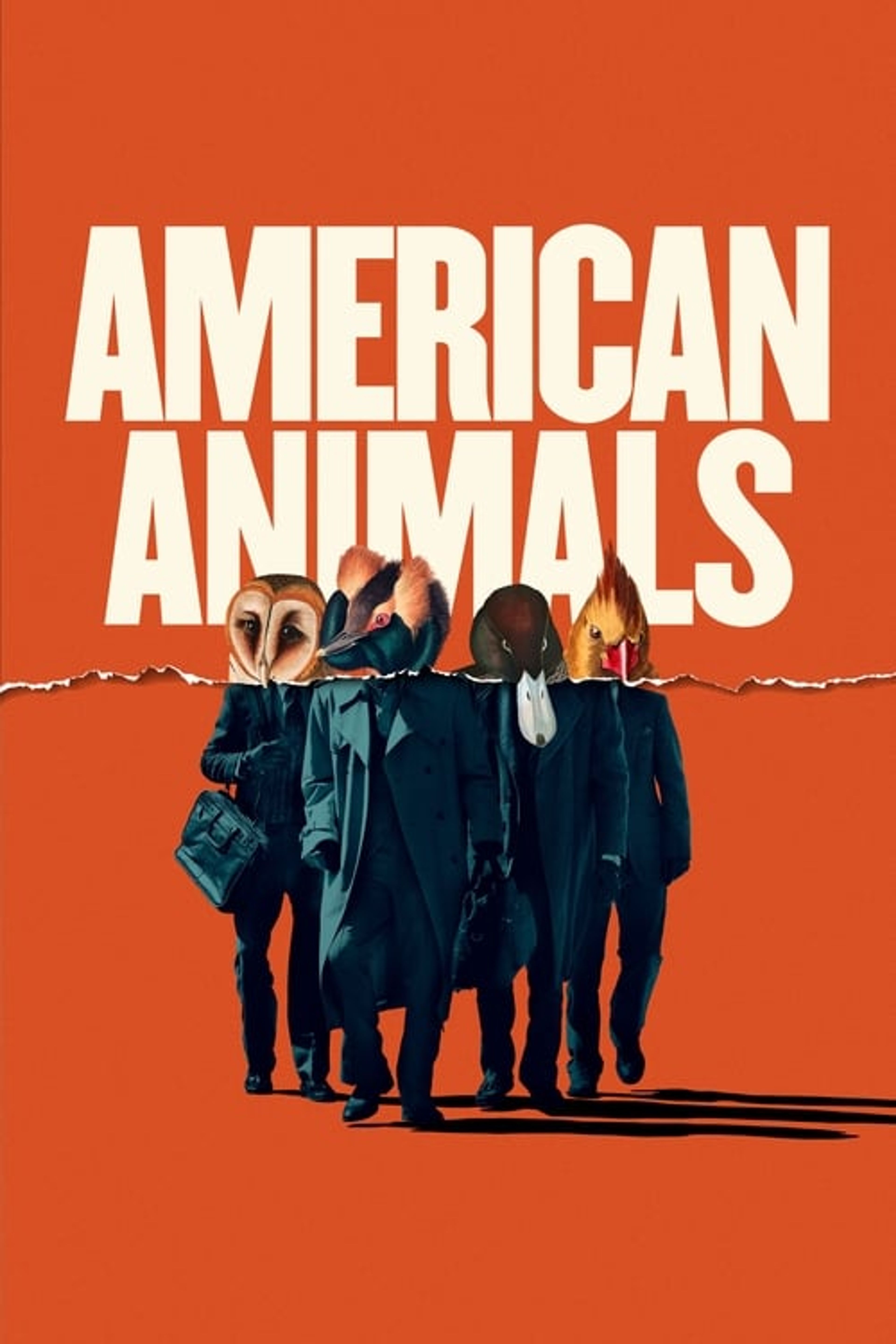 Poster image of American Animals