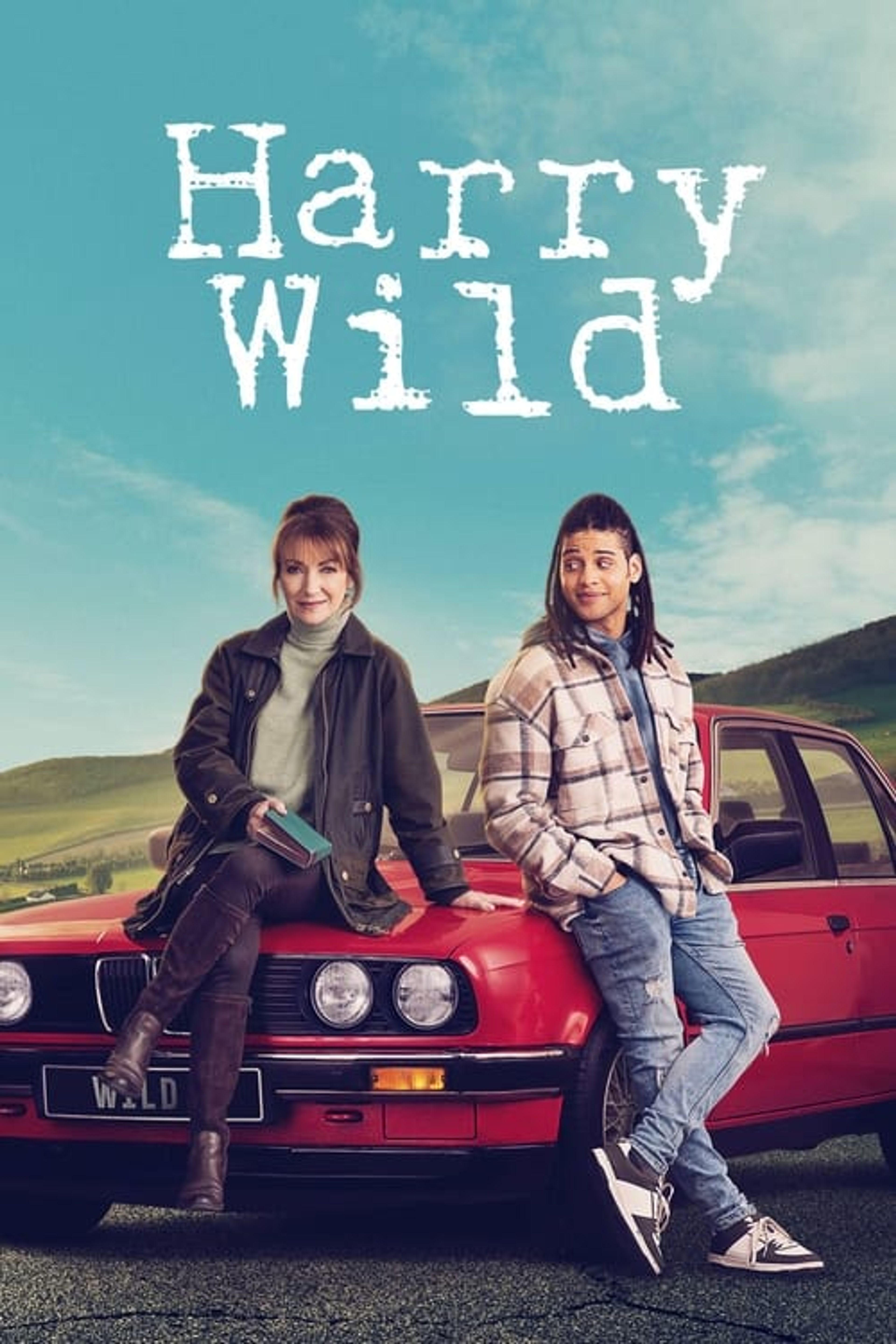 Poster image of Harry Wild