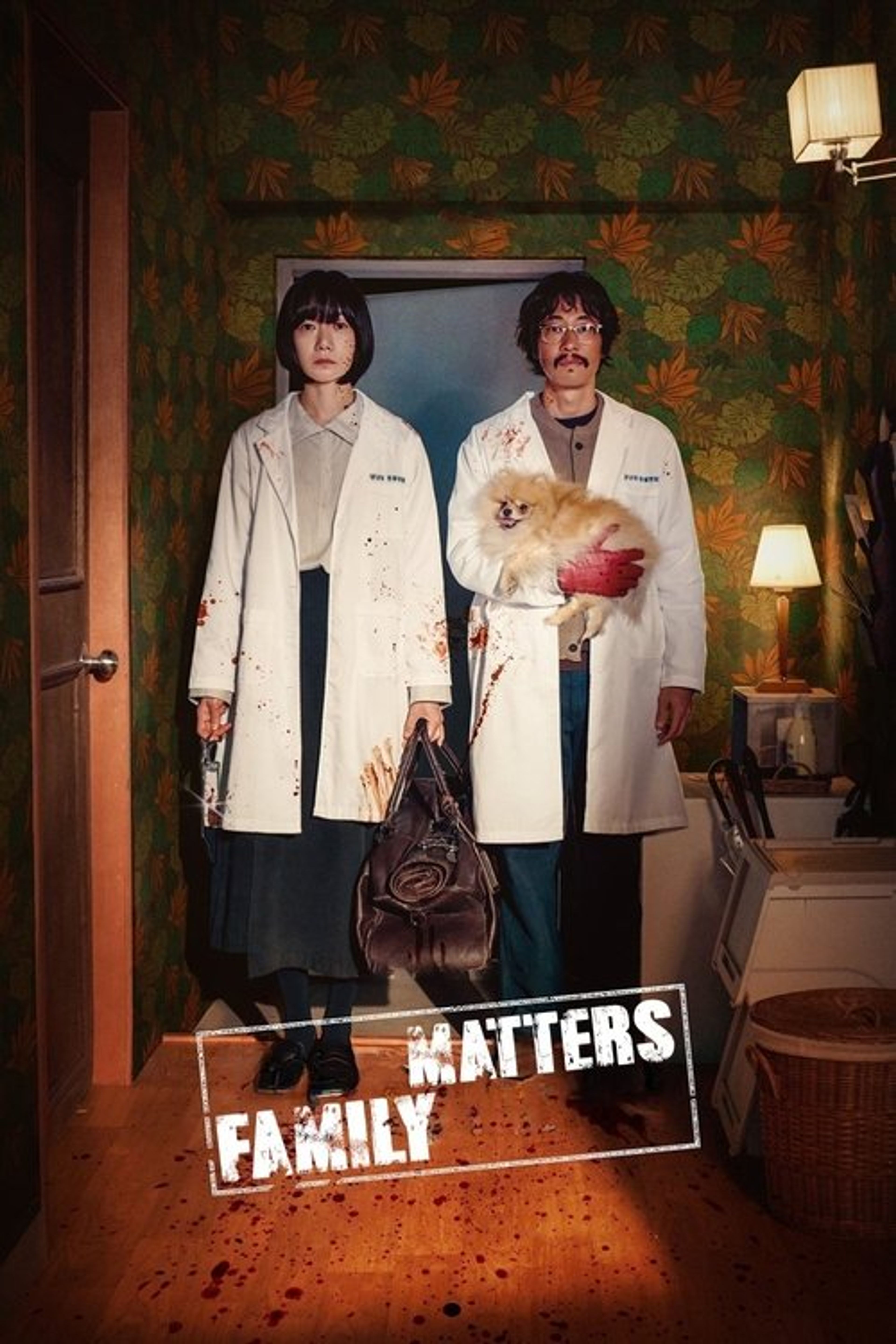 Poster image of Family Matters