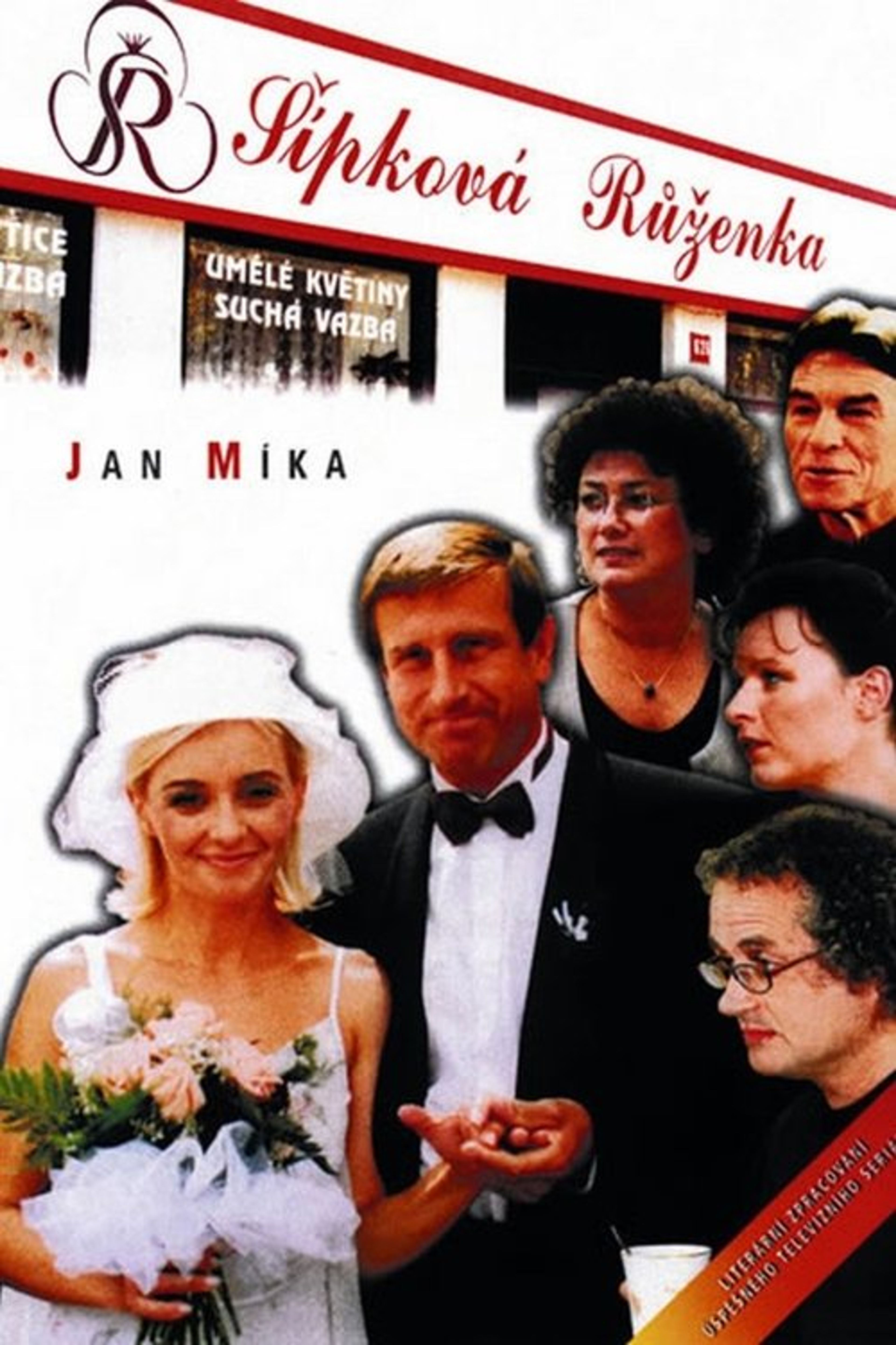 Poster image of Šípková Růženka