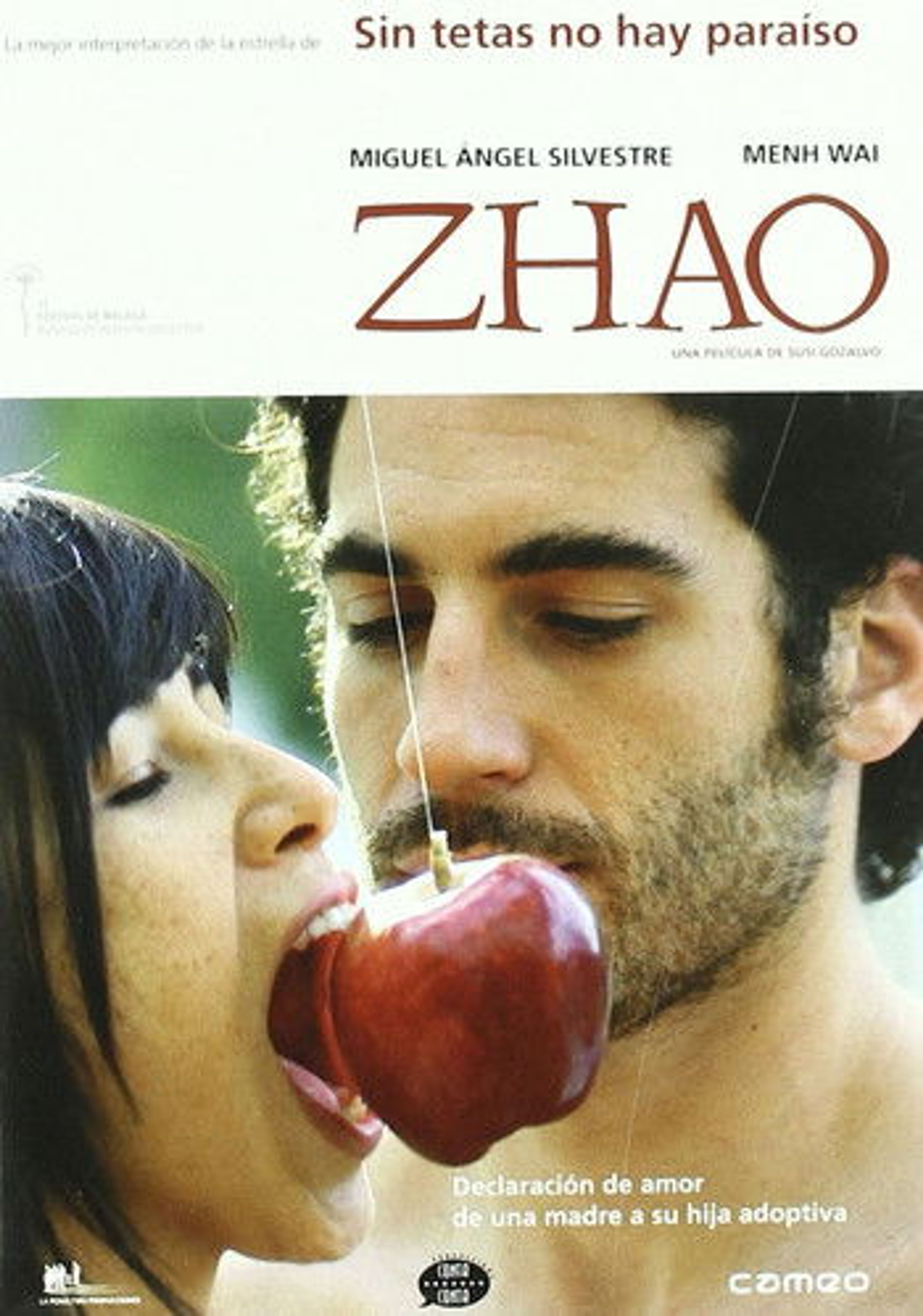Poster image of Zhao